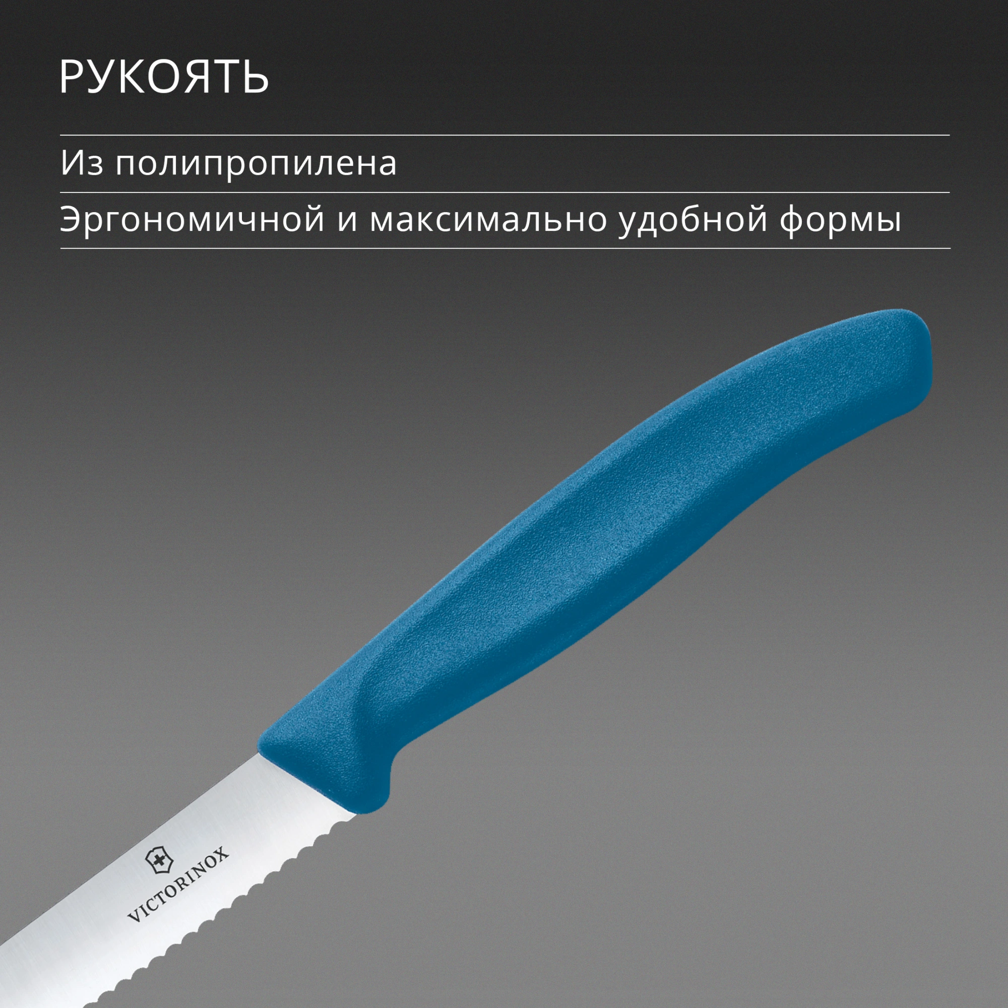 Нож кухонный Victorinox Swiss Classic 6.7832.C1 стальной универсальный для томатов лезв.110мм серрейт. заточка синий — миниатюра 5