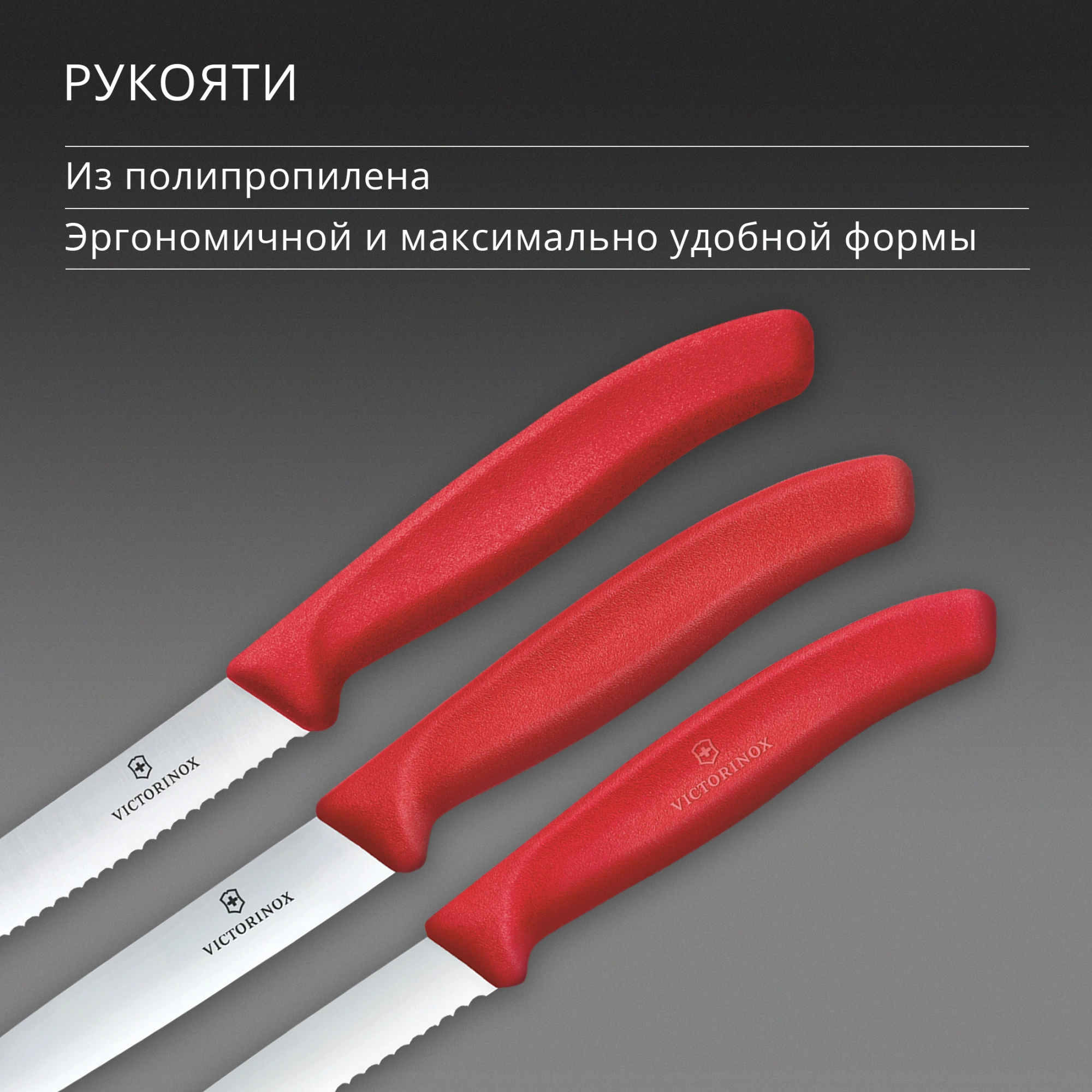 Набор ножей кухон. Victorinox Swiss Classic 6.7111.34C1 для овощей компл.:3предм. красный европодвес — миниатюра 5