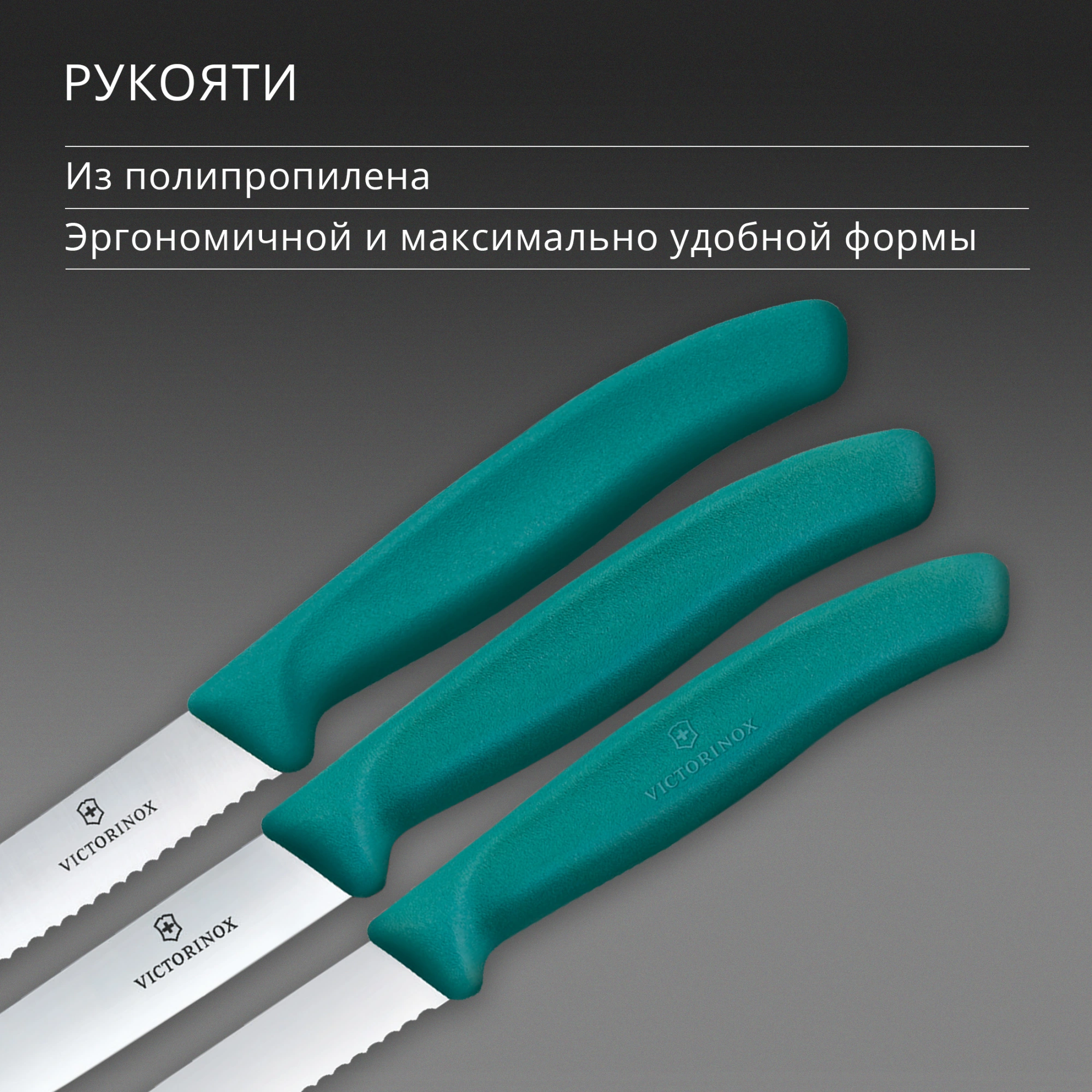 Набор ножей кухон. Victorinox Swiss Classic 6.7114.34C1 для овощей компл.:3предм. зеленый европодвес — миниатюра 5