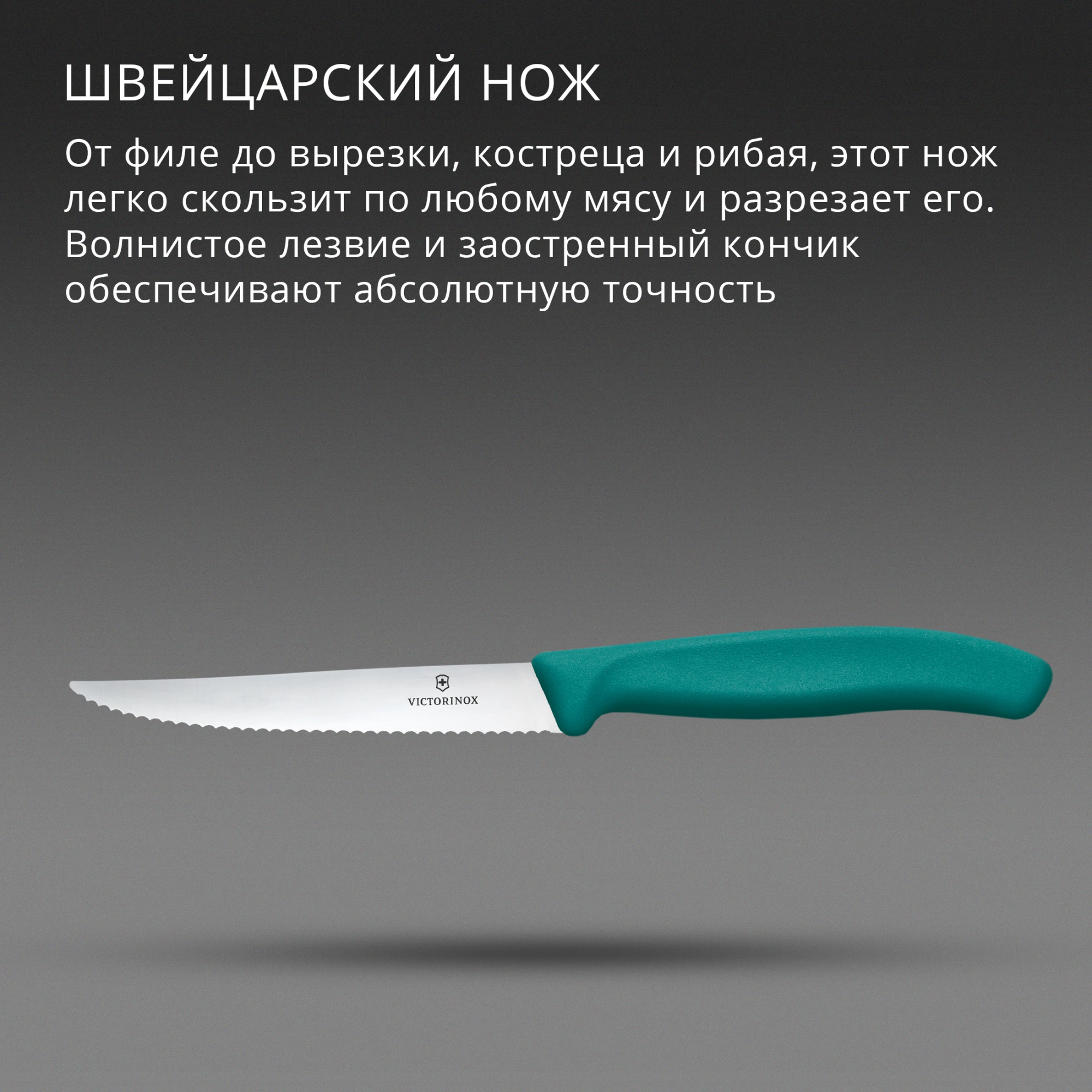 Нож кухонный Victorinox Swiss Classic 6.7234.C1 стальной универсальный для стейка/пиццы лезв.110мм серрейт. заточка зеленый — миниатюра 3