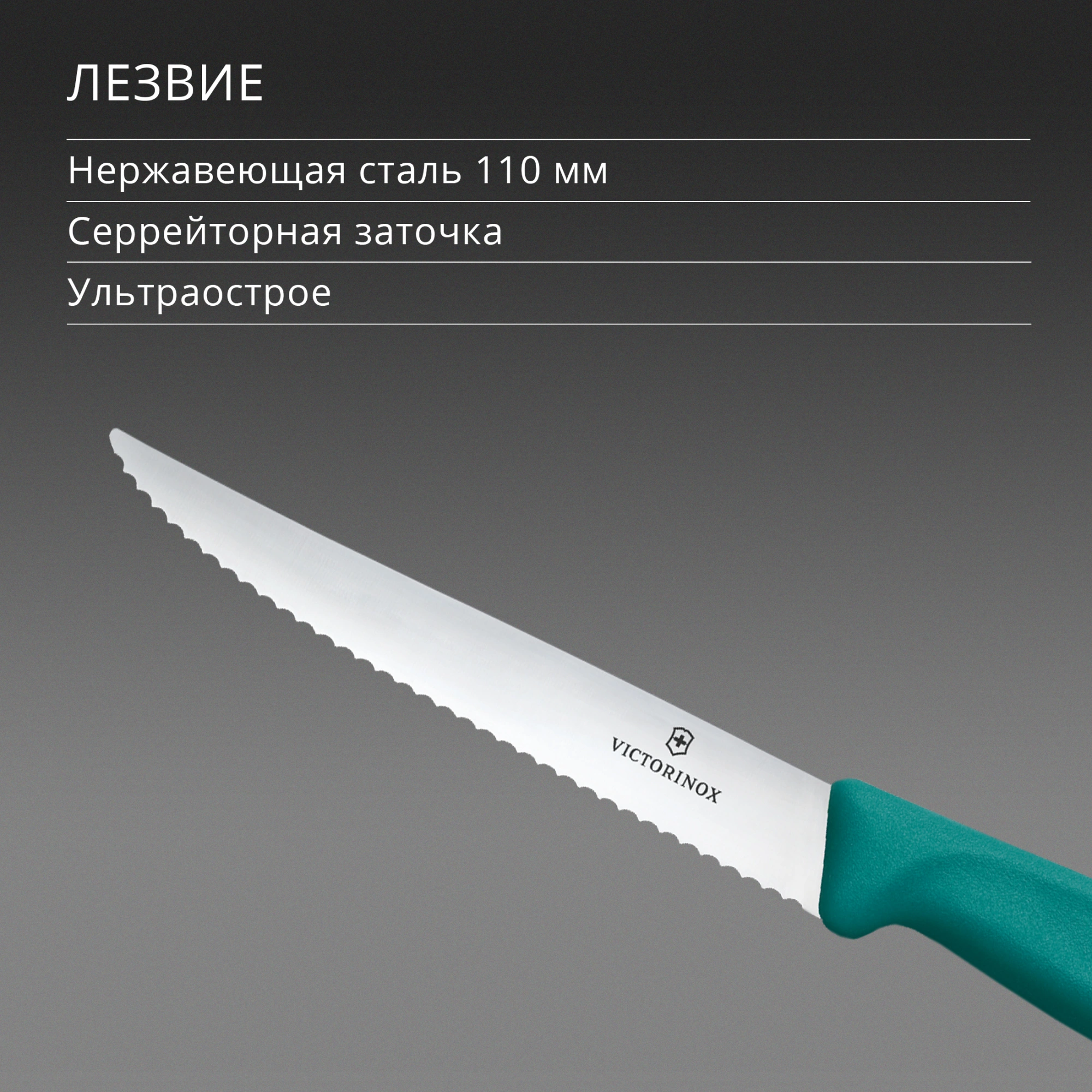 Нож кухонный Victorinox Swiss Classic 6.7234.C1 стальной универсальный для стейка/пиццы лезв.110мм серрейт. заточка зеленый — миниатюра 4