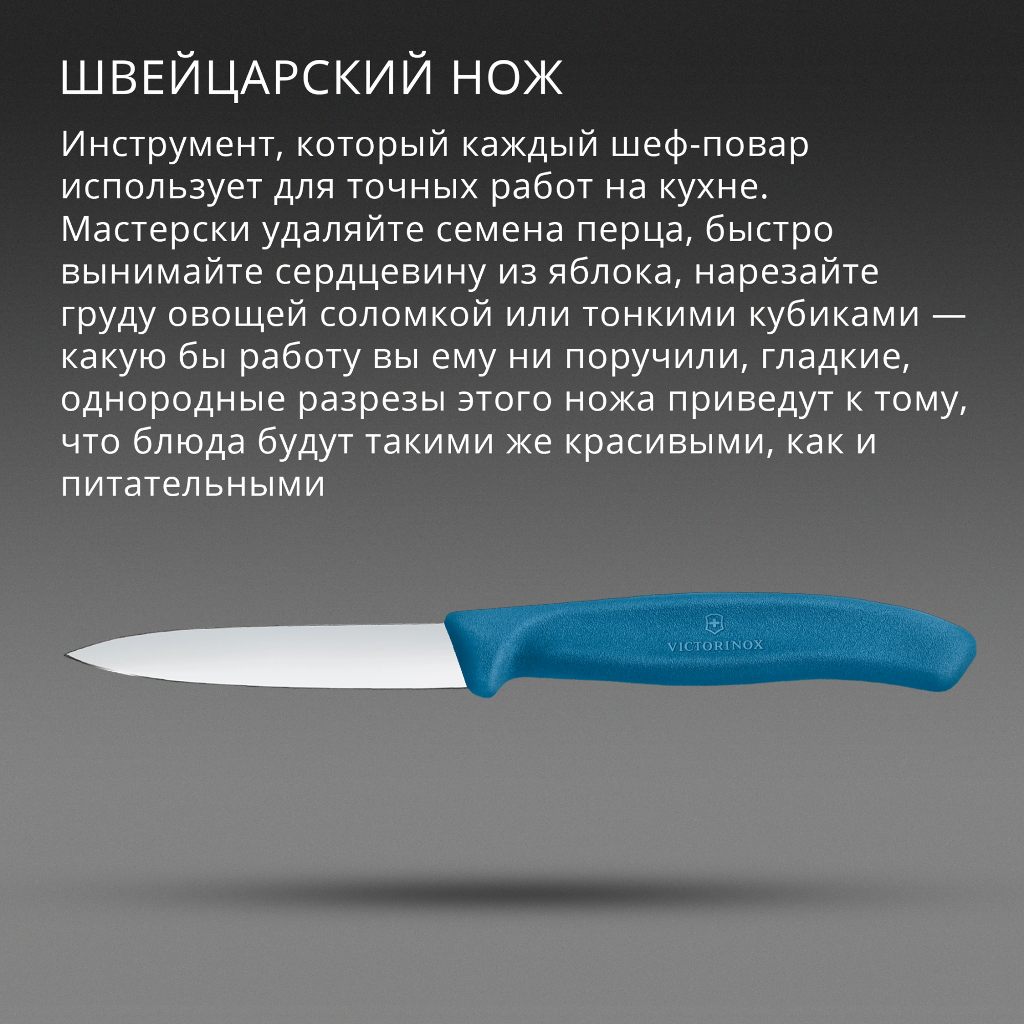 Нож кухонный Victorinox Swiss Classic (6.7602.C1) стальной универсальный для чистки овощей и фруктов лезв.80мм прямая заточка синий — миниатюра 3
