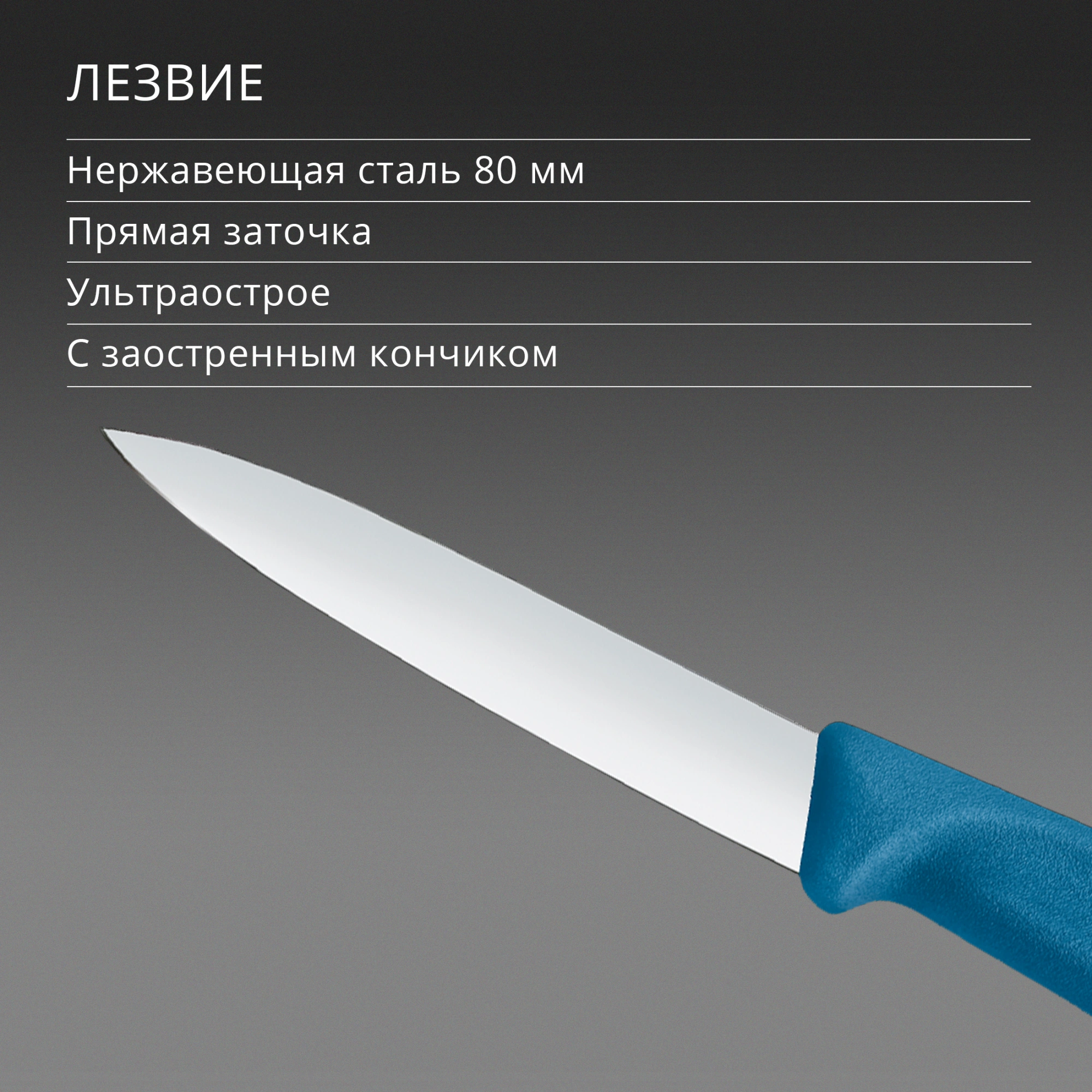 Нож кухонный Victorinox Swiss Classic (6.7602.C1) стальной универсальный для чистки овощей и фруктов лезв.80мм прямая заточка синий — миниатюра 4