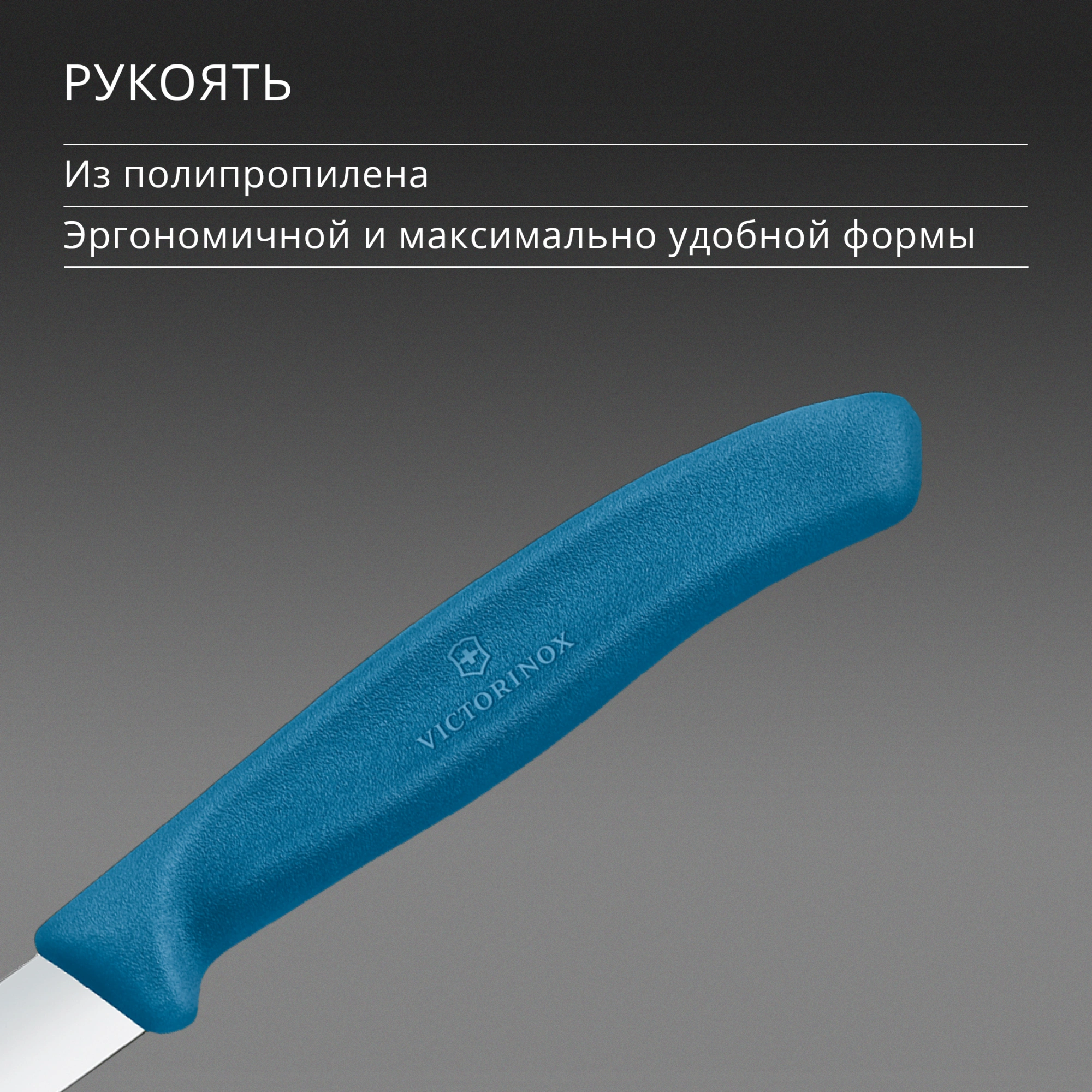 Нож кухонный Victorinox Swiss Classic (6.7602.C1) стальной универсальный для чистки овощей и фруктов лезв.80мм прямая заточка синий — миниатюра 5