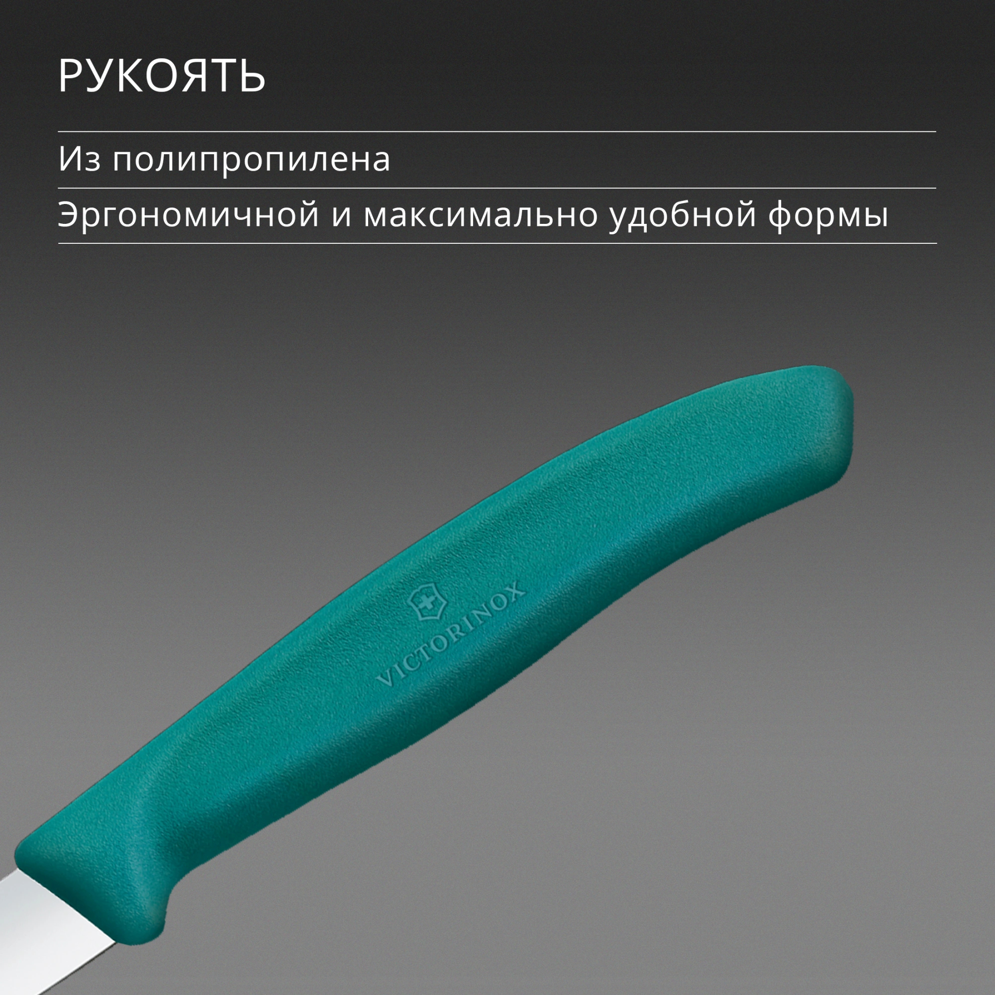 Нож кухонный Victorinox Swiss Classic (6.7604.C1) стальной универсальный для чистки овощей и фруктов лезв.80мм прямая заточка зеленый — миниатюра 5