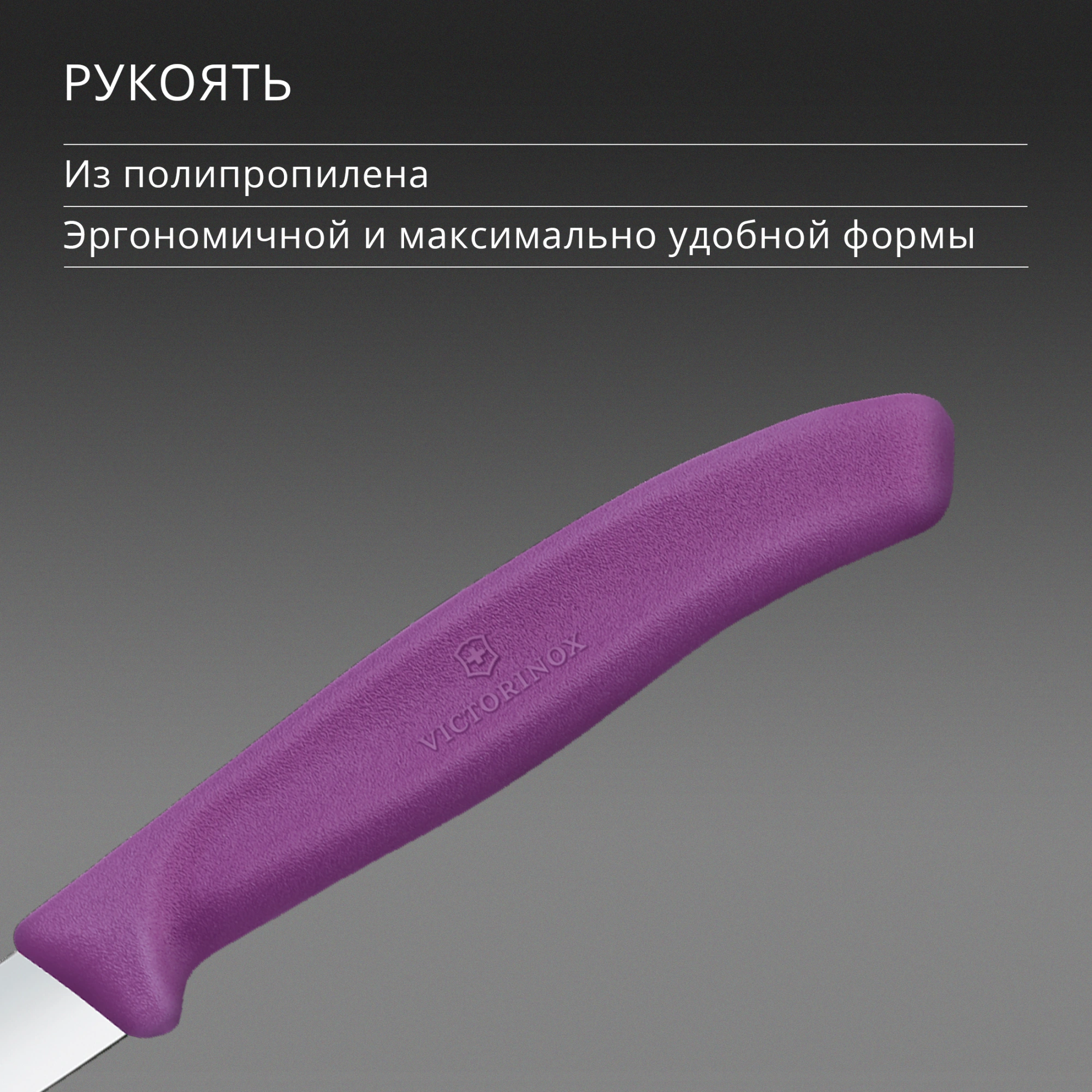 Нож кухонный Victorinox Swiss Classic (6.7605.C1) стальной универсальный для чистки овощей и фруктов лезв.80мм прямая заточка пурпурный — миниатюра 5