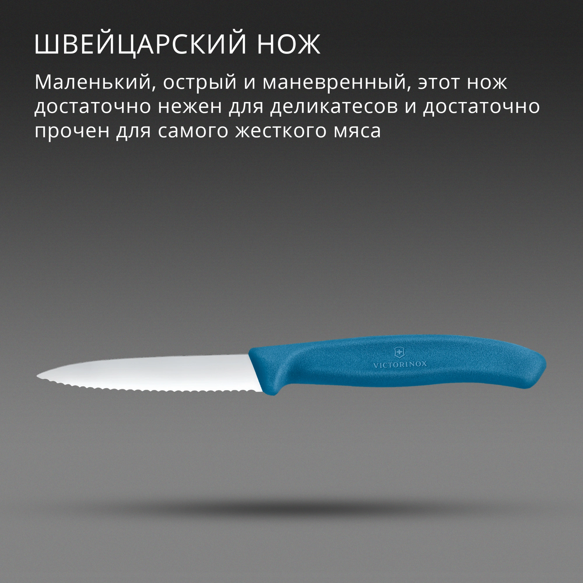 Нож кухонный Victorinox Swiss Classic (6.7632.C1) стальной универсальный для чистки овощей и фруктов лезв.80мм серрейт. заточка синий — миниатюра 3
