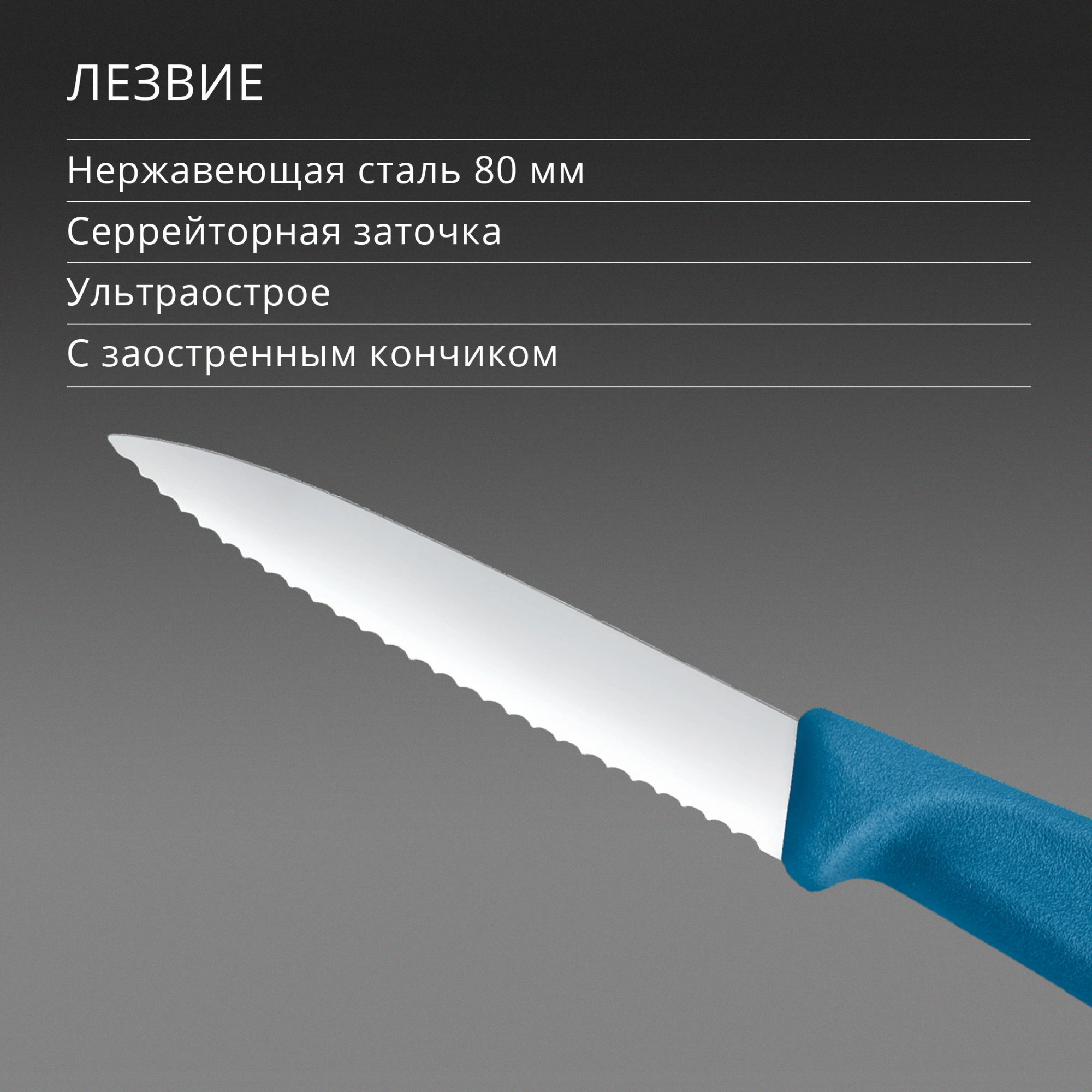 Нож кухонный Victorinox Swiss Classic (6.7632.C1) стальной универсальный для чистки овощей и фруктов лезв.80мм серрейт. заточка синий — миниатюра 4