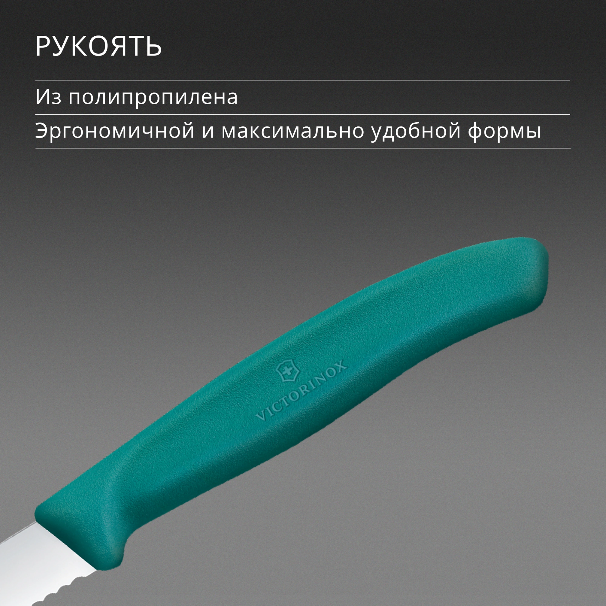 Нож кухонный Victorinox Swiss Classic (6.7634.C1) стальной столовый для чистки овощей и фруктов лезв.80мм серрейт. заточка зеленый — миниатюра 5