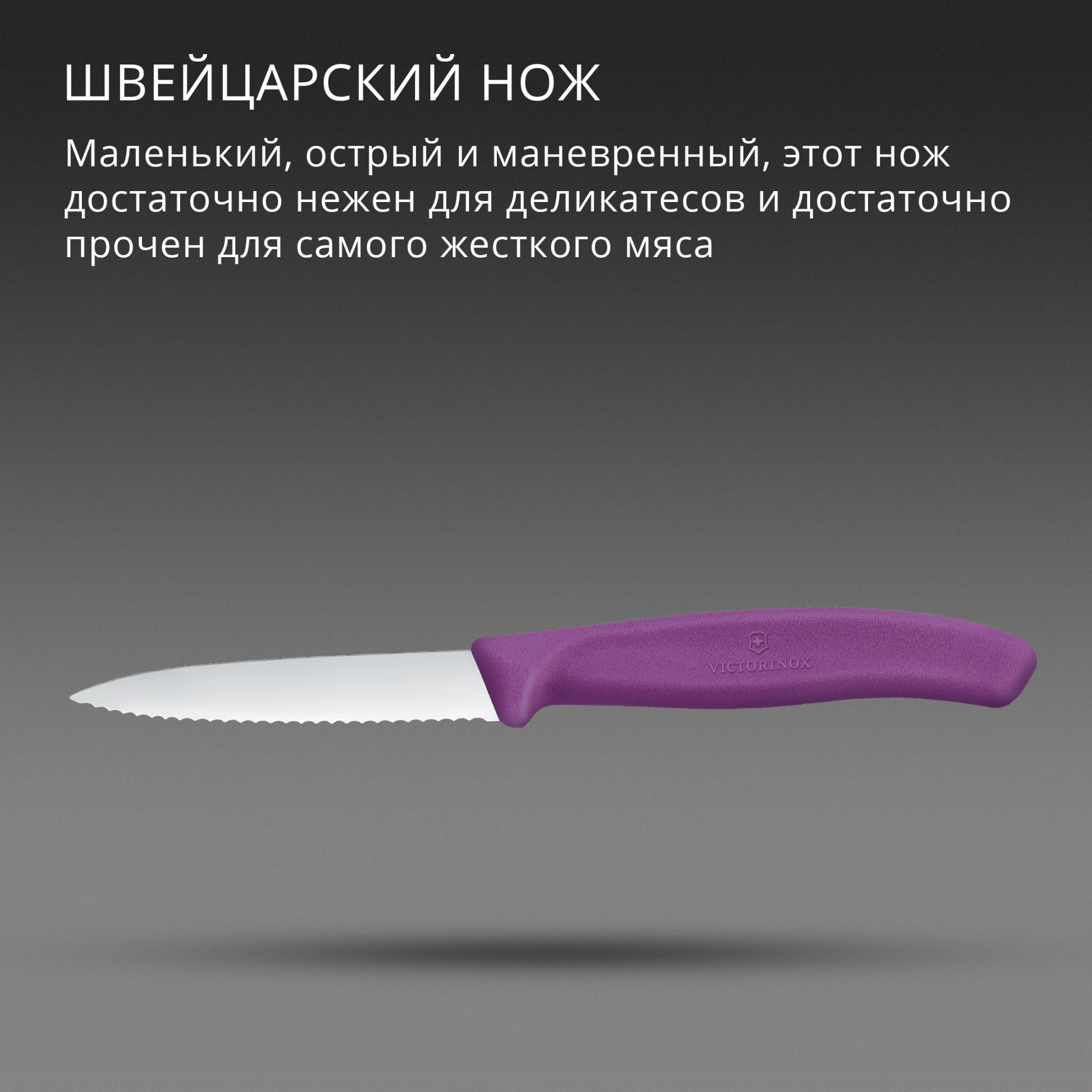 Нож кухонный Victorinox Swiss Classic (6.7635.C1) стальной универсальный для чистки овощей и фруктов лезв.80мм серрейт. заточка пурпурный — миниатюра 3