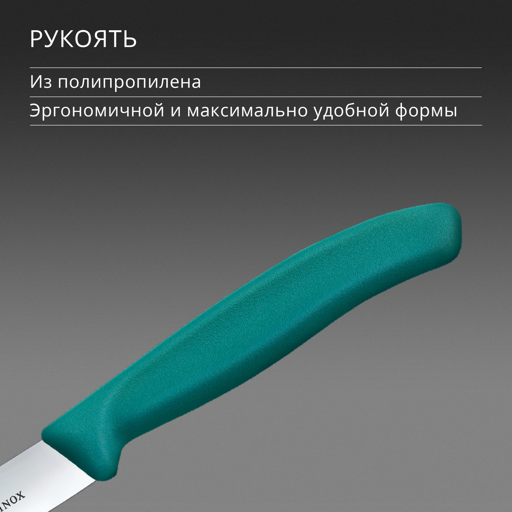 Нож кухонный Victorinox Swiss Classic (6.7704.C1) стальной универсальный для чистки овощей и фруктов лезв.100мм прямая заточка зеленый — миниатюра 5