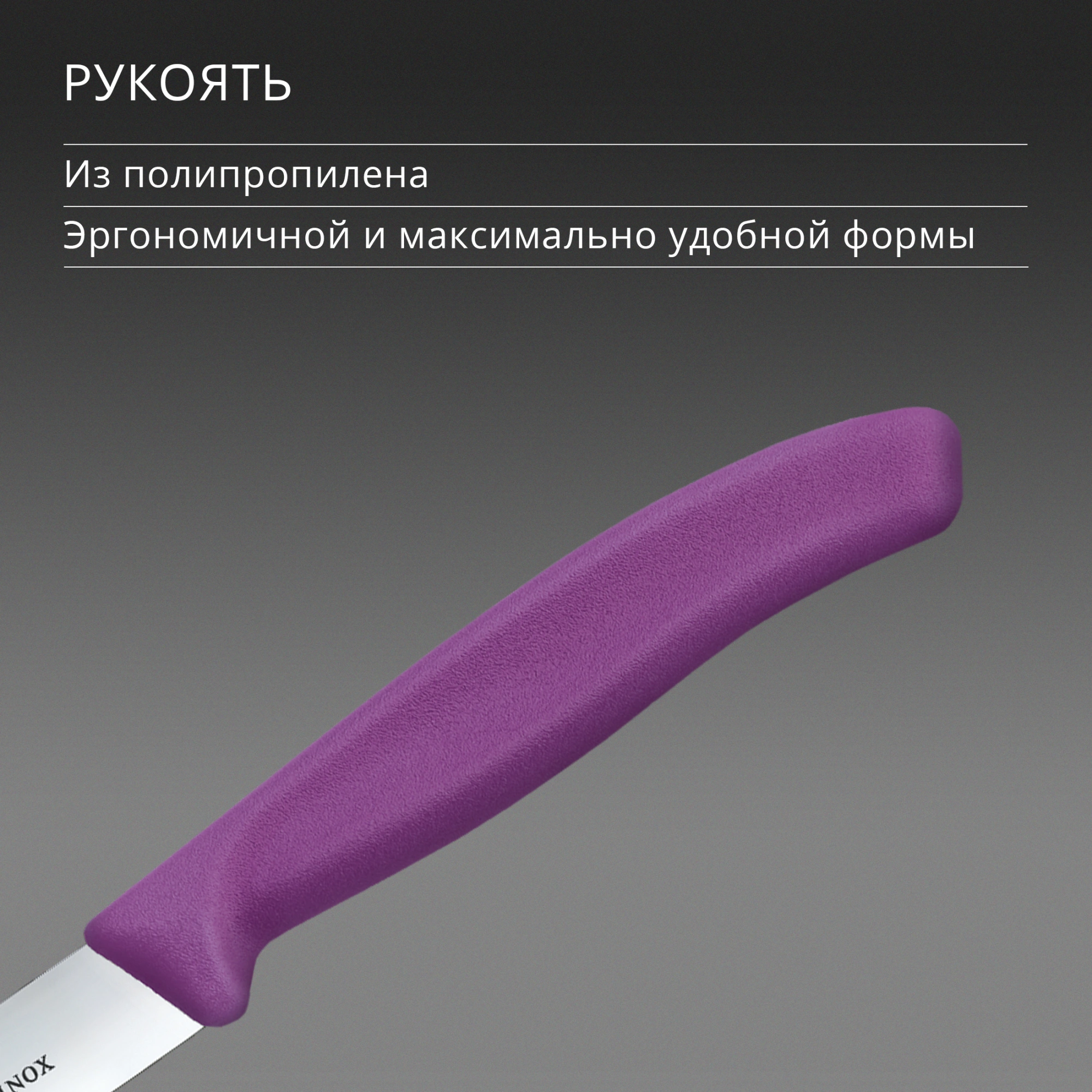 Нож кухонный Victorinox Swiss Classic (6.7705.C1) стальной универсальный для чистки овощей и фруктов лезв.100мм прямая заточка пурпурный — миниатюра 5