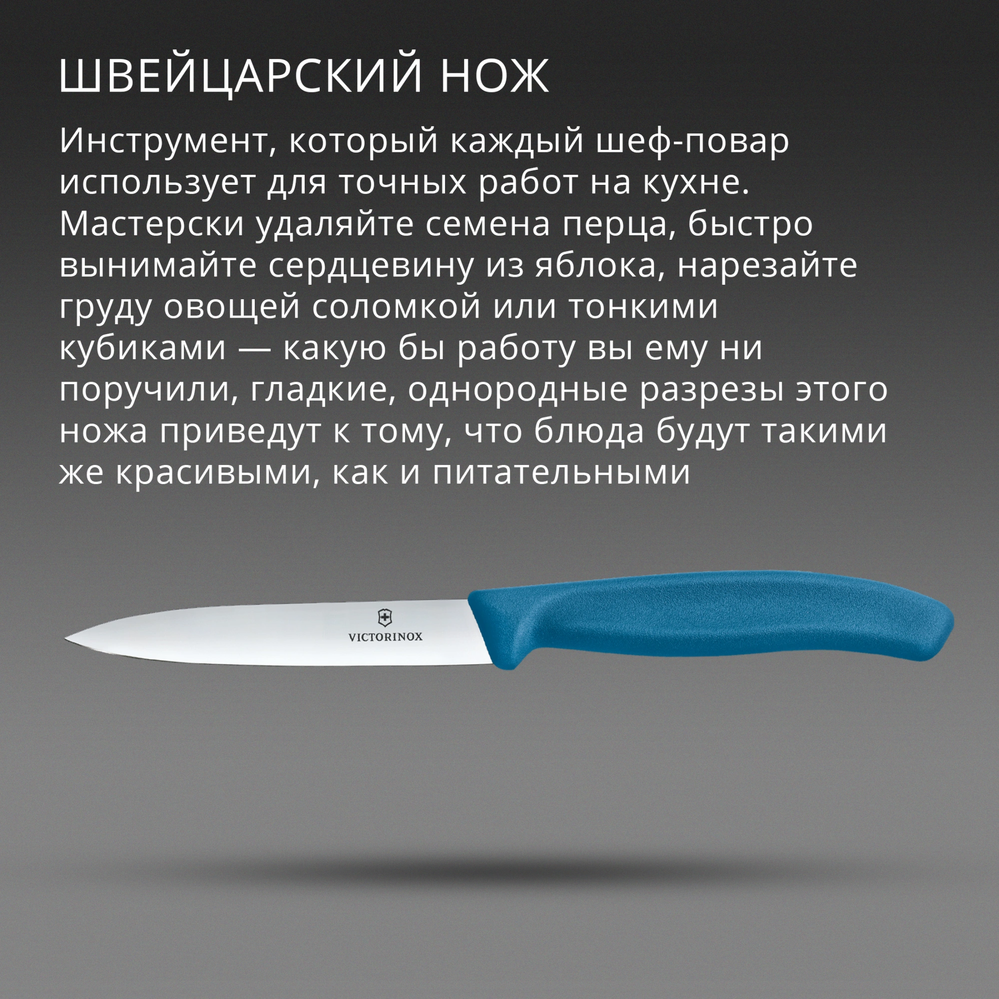 Нож кухонный Victorinox Swiss Classic (6.7702.C1) стальной универсальный для чистки овощей и фруктов лезв.100мм прямая заточка синий — миниатюра 3