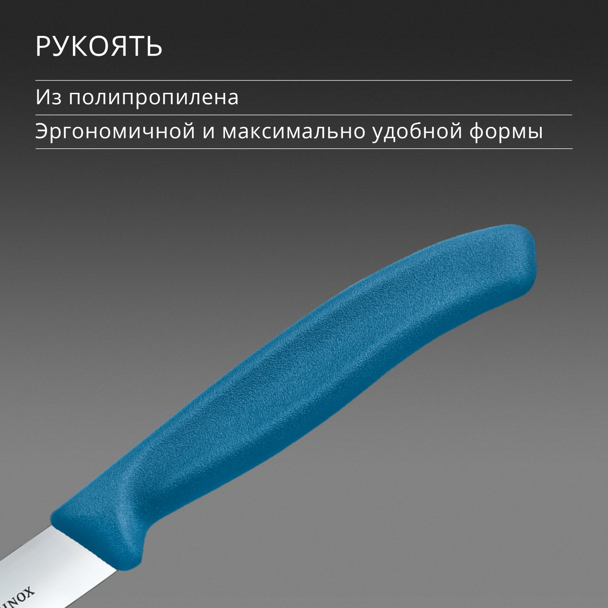 Нож кухонный Victorinox Swiss Classic (6.7702.C1) стальной универсальный для чистки овощей и фруктов лезв.100мм прямая заточка синий — миниатюра 5