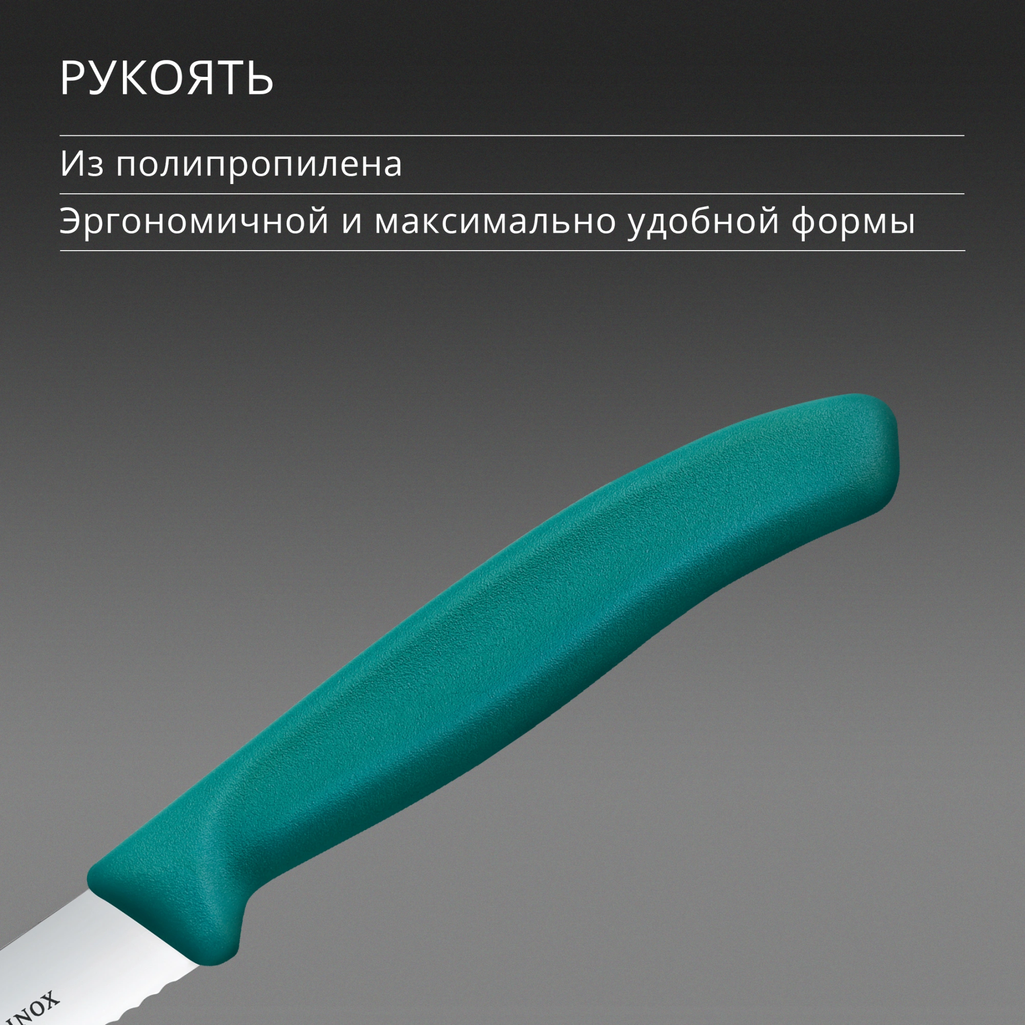 Нож кухонный Victorinox Swiss Classic (6.7734.C1) стальной универсальный для чистки овощей и фруктов лезв.100мм серрейт. заточка зеленый — миниатюра 5
