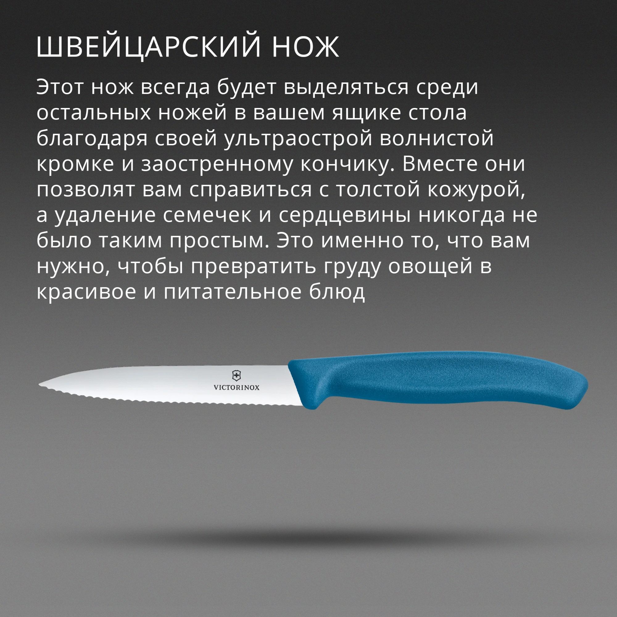 Нож кухонный Victorinox Swiss Classic (6.7732.C1) стальной универсальный для чистки овощей и фруктов лезв.100мм серрейт. заточка синий — миниатюра 3