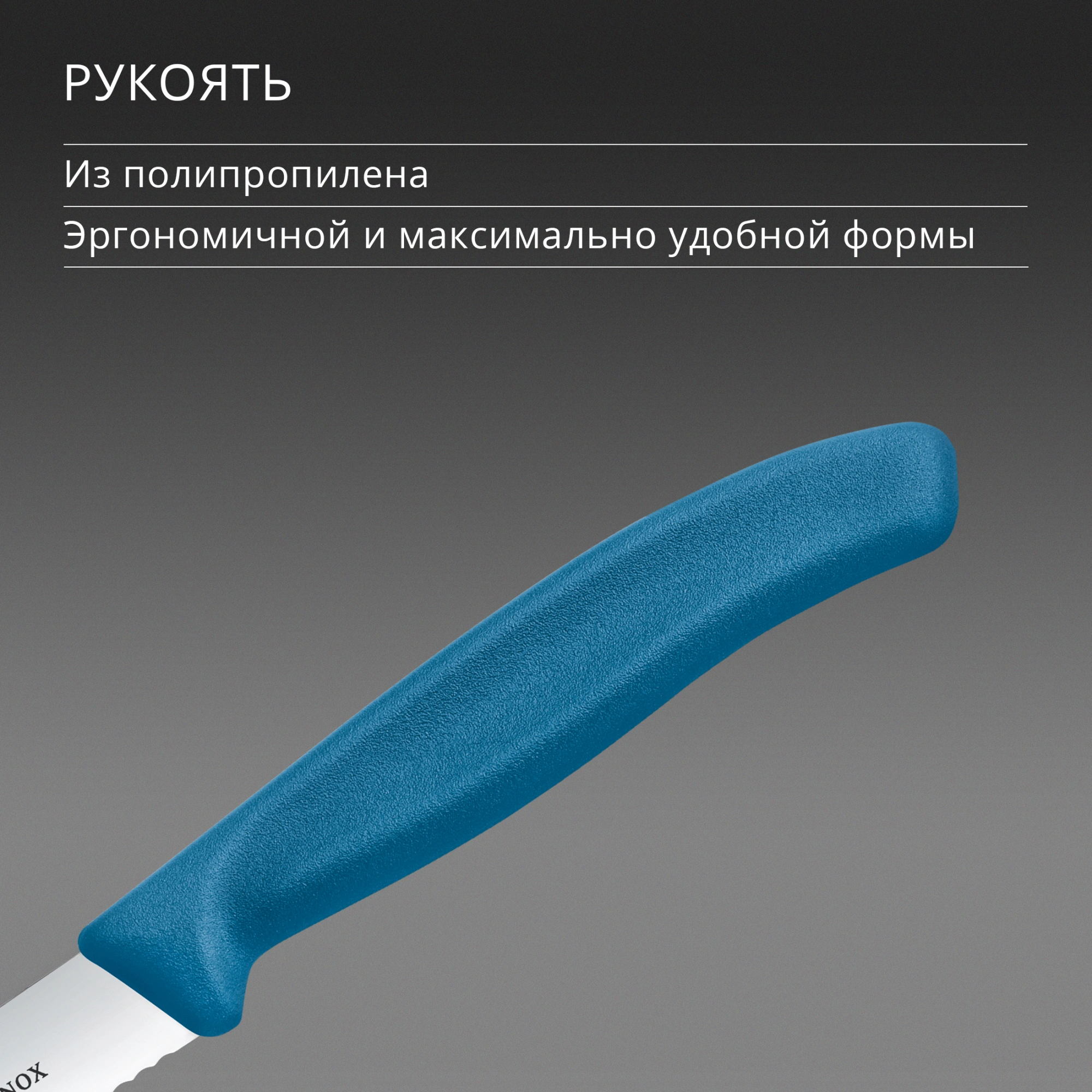 Нож кухонный Victorinox Swiss Classic (6.7732.C1) стальной универсальный для чистки овощей и фруктов лезв.100мм серрейт. заточка синий — миниатюра 5