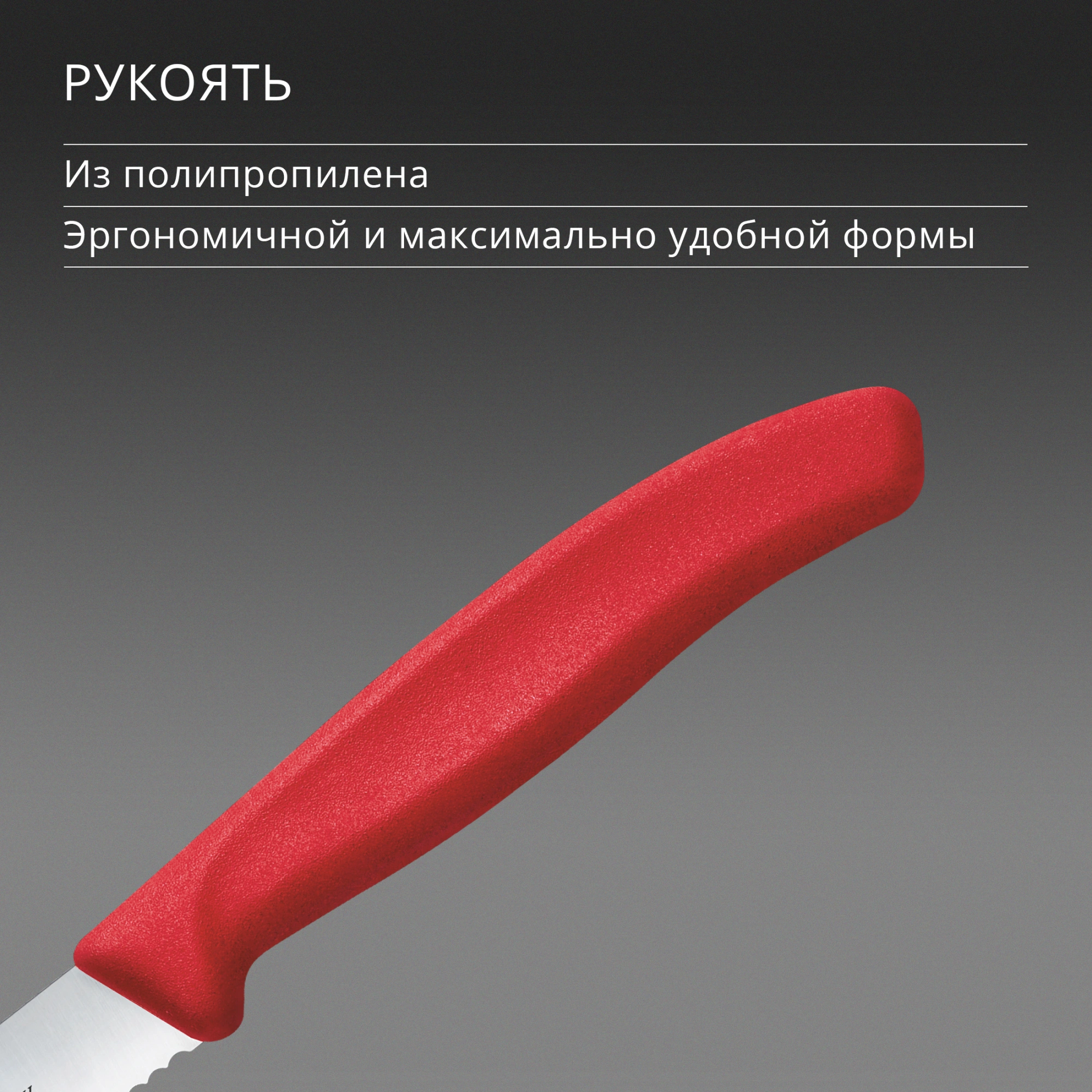Нож кухонный Victorinox Swiss Classic (6.7831.C1) стальной столовый для овощей лезв.110мм серрейт. заточка красный — миниатюра 5