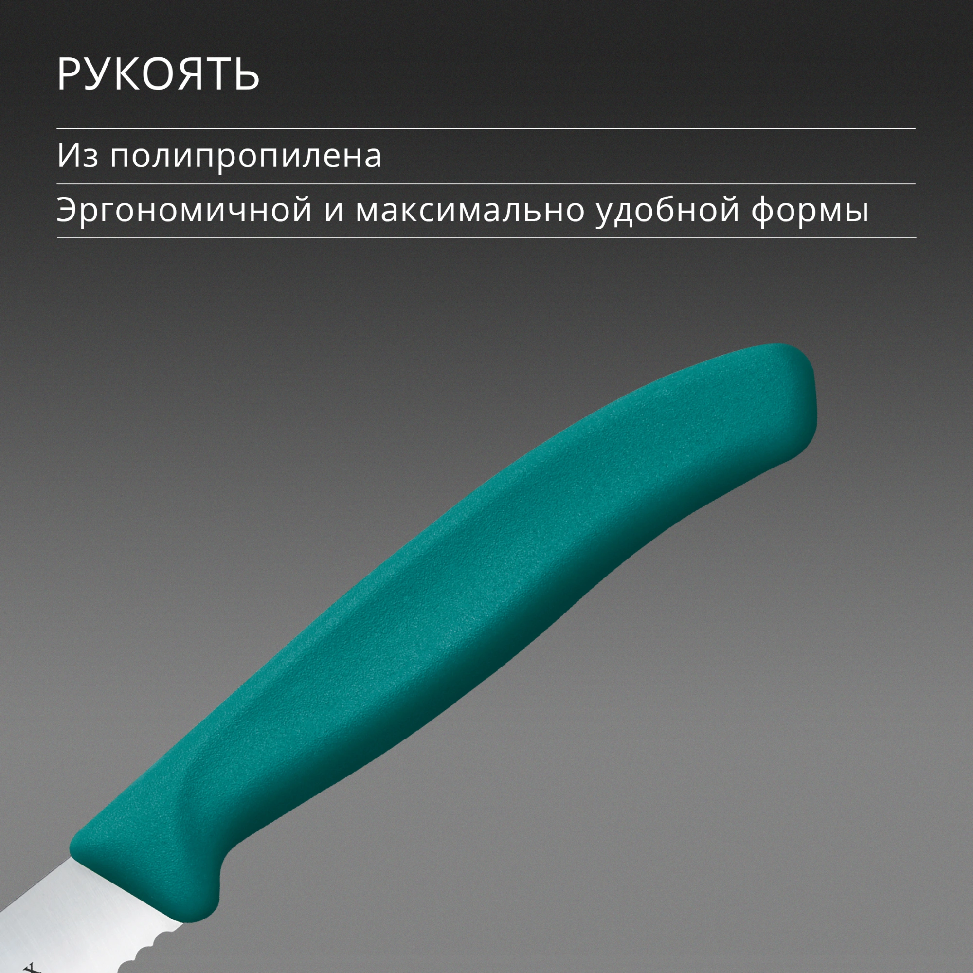 Нож кухонный Victorinox Swiss Classic (6.7834.C1) стальной столовый для томатов лезв.110мм серрейт. заточка зеленый — миниатюра 5