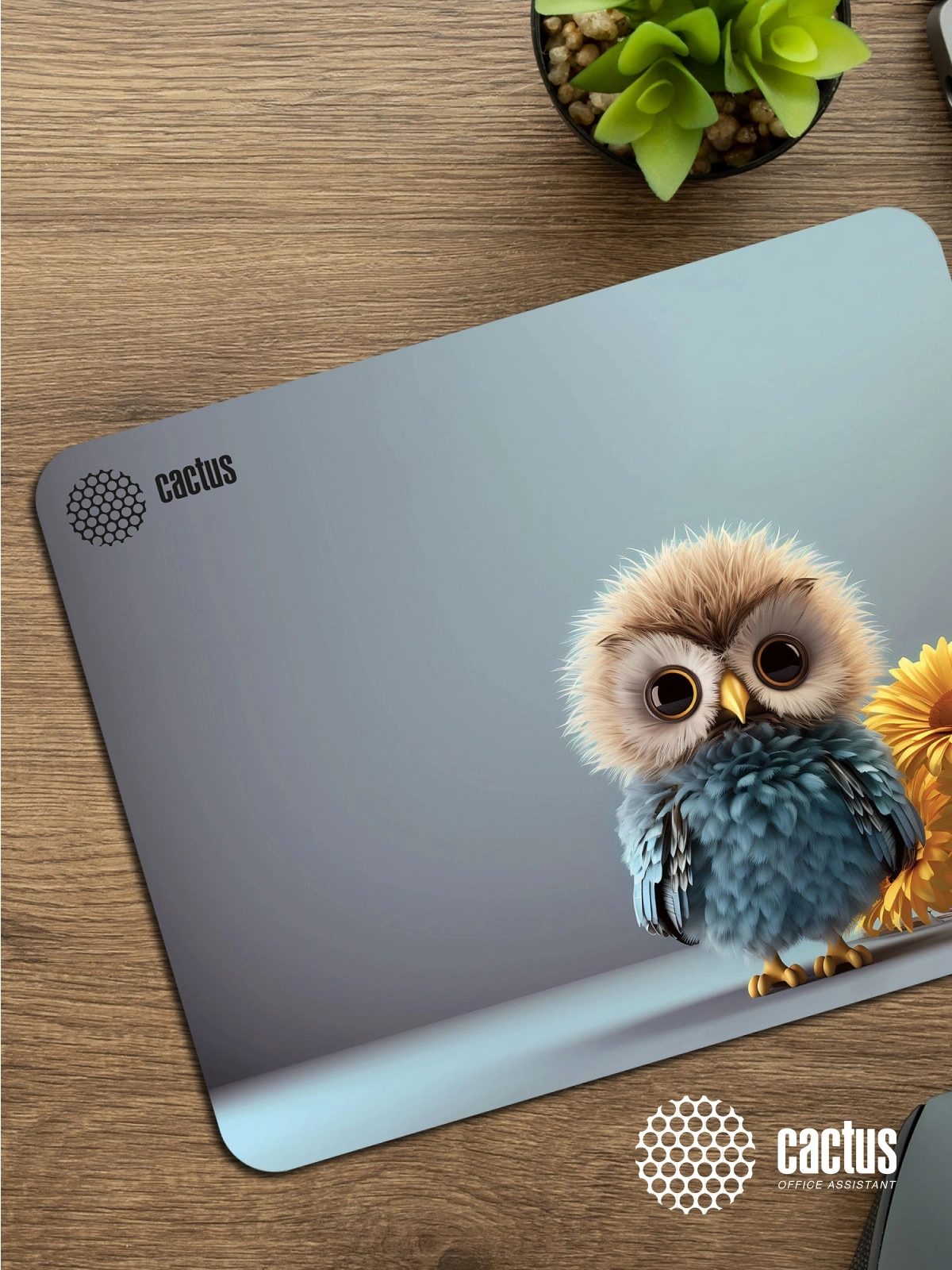 Коврик для мыши Cactus Owl gray рисунок 300x250x3мм (CS-MPC-D12M) — миниатюра 13
