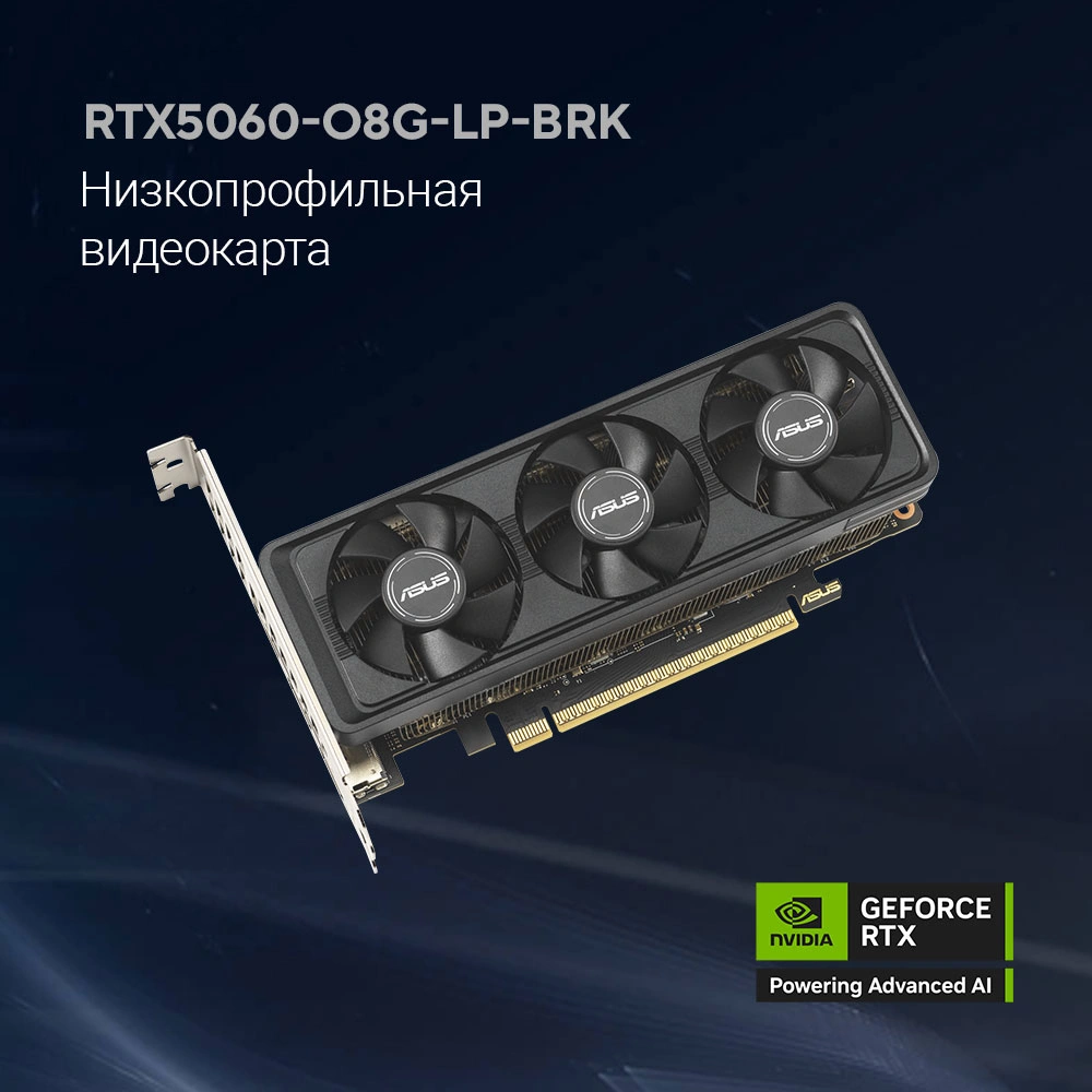 Видеокарта Asus PCI-E 5.0 RTX5060-O8G-LP-BRK NVIDIA GeForce RTX 5060 8Gb 128bit GDDR7 2550/28000 HDMIx2 DPx1 HDCP Ret low profile — миниатюра 13