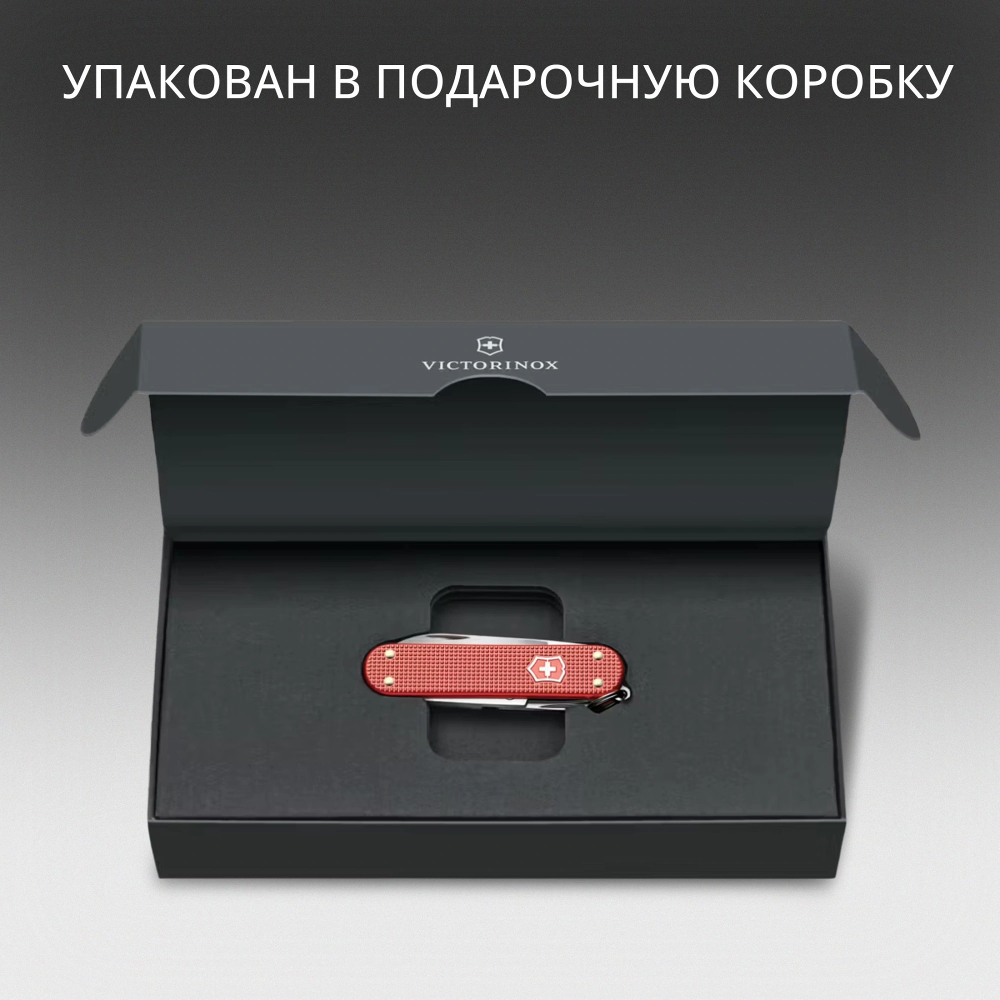 Нож перочинный Victorinox Classic SD Alox LE 2025 Stone Red (0.6221.L25) 58мм 5функц. красный подар.коробка — миниатюра 9
