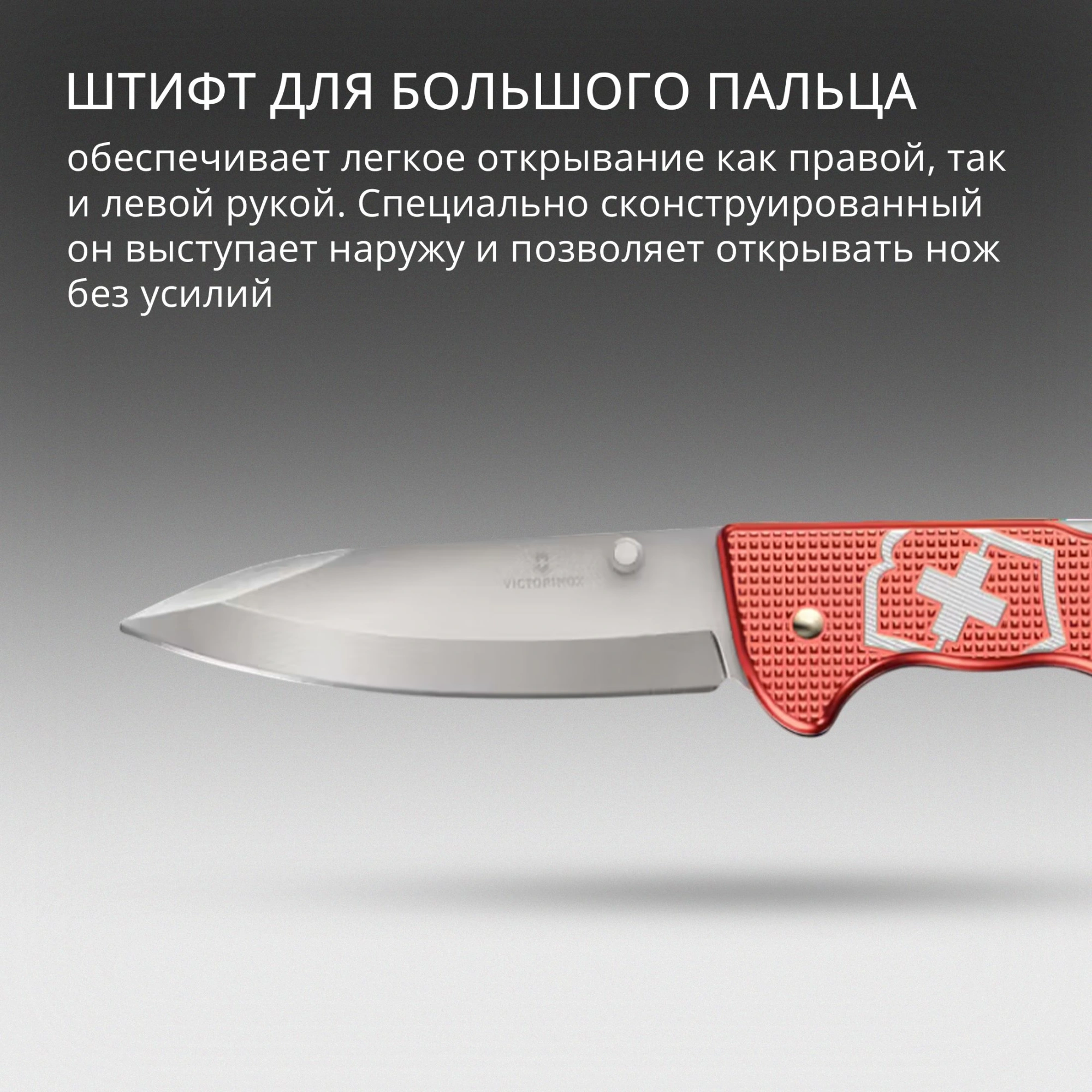 Нож перочинный Victorinox Evoke Alox LE 2025 Stone Red (0.9415.L25) 136мм 5функц. красный подар.коробка — миниатюра 6