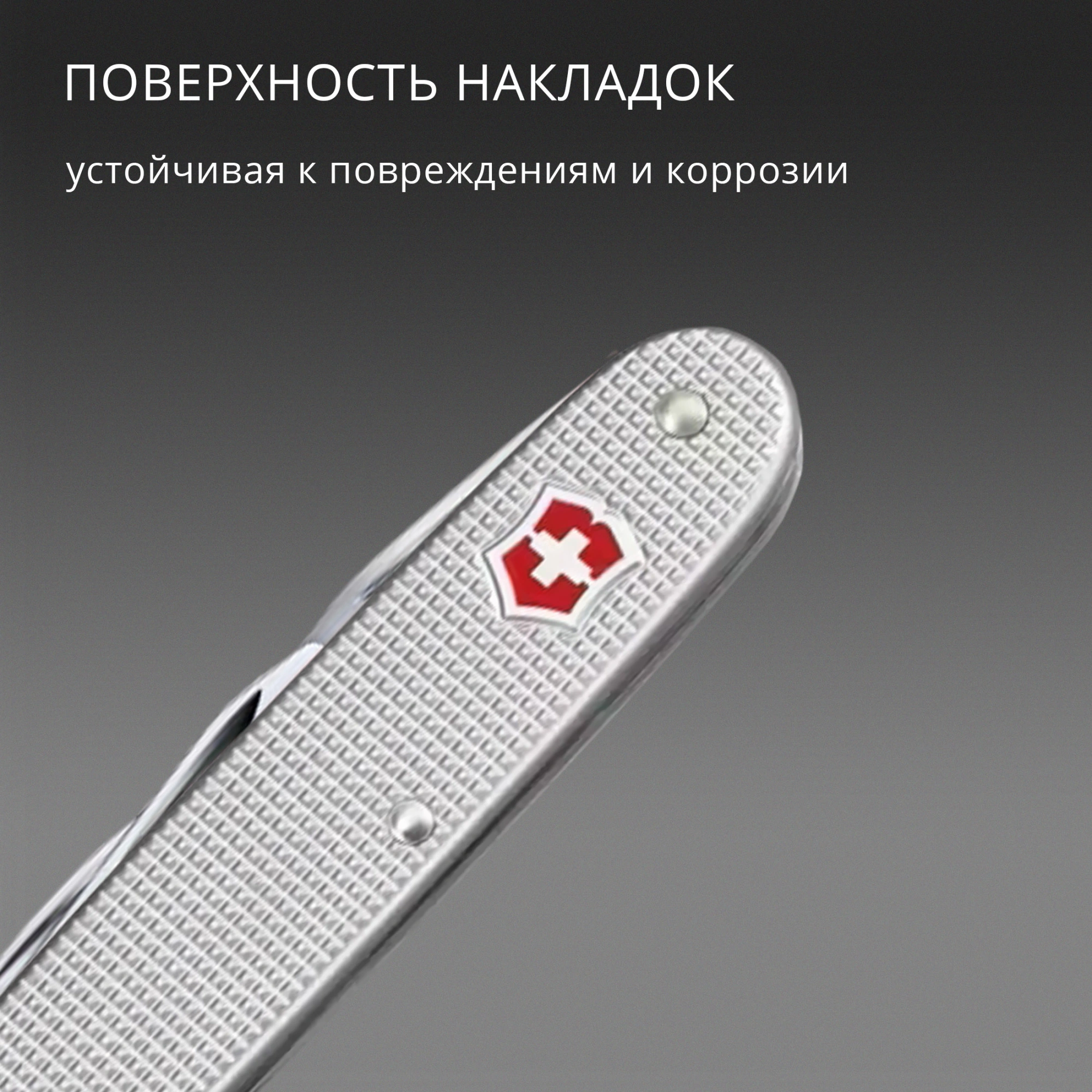 Мультитул Victorinox Companion Slim Alox (0.8170.26) 6функц. серебристый карт.коробка — миниатюра 4