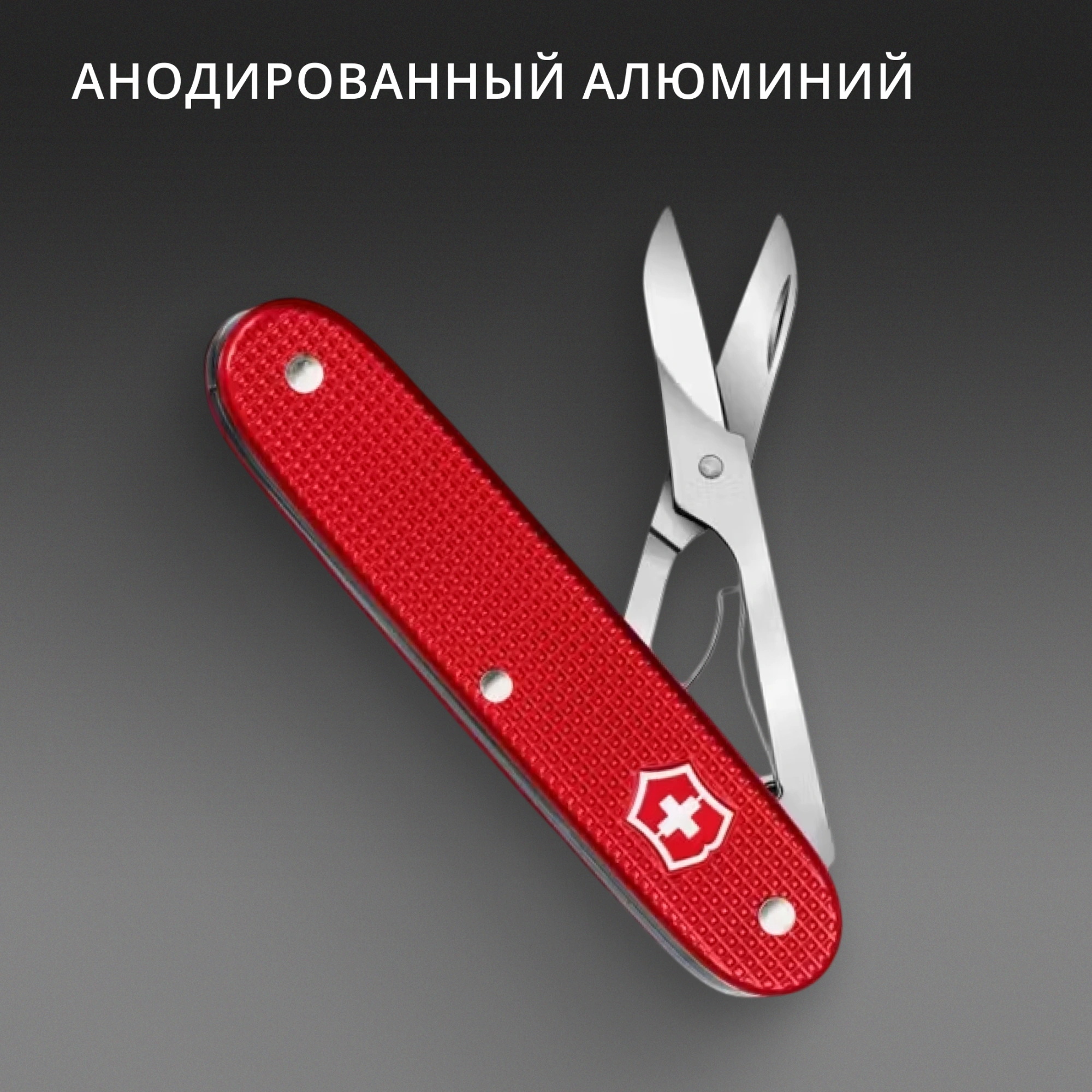Ножницы Victorinox Companion X Alox (0.8070.20) 93мм 1функц. красный карт.коробка — миниатюра 3