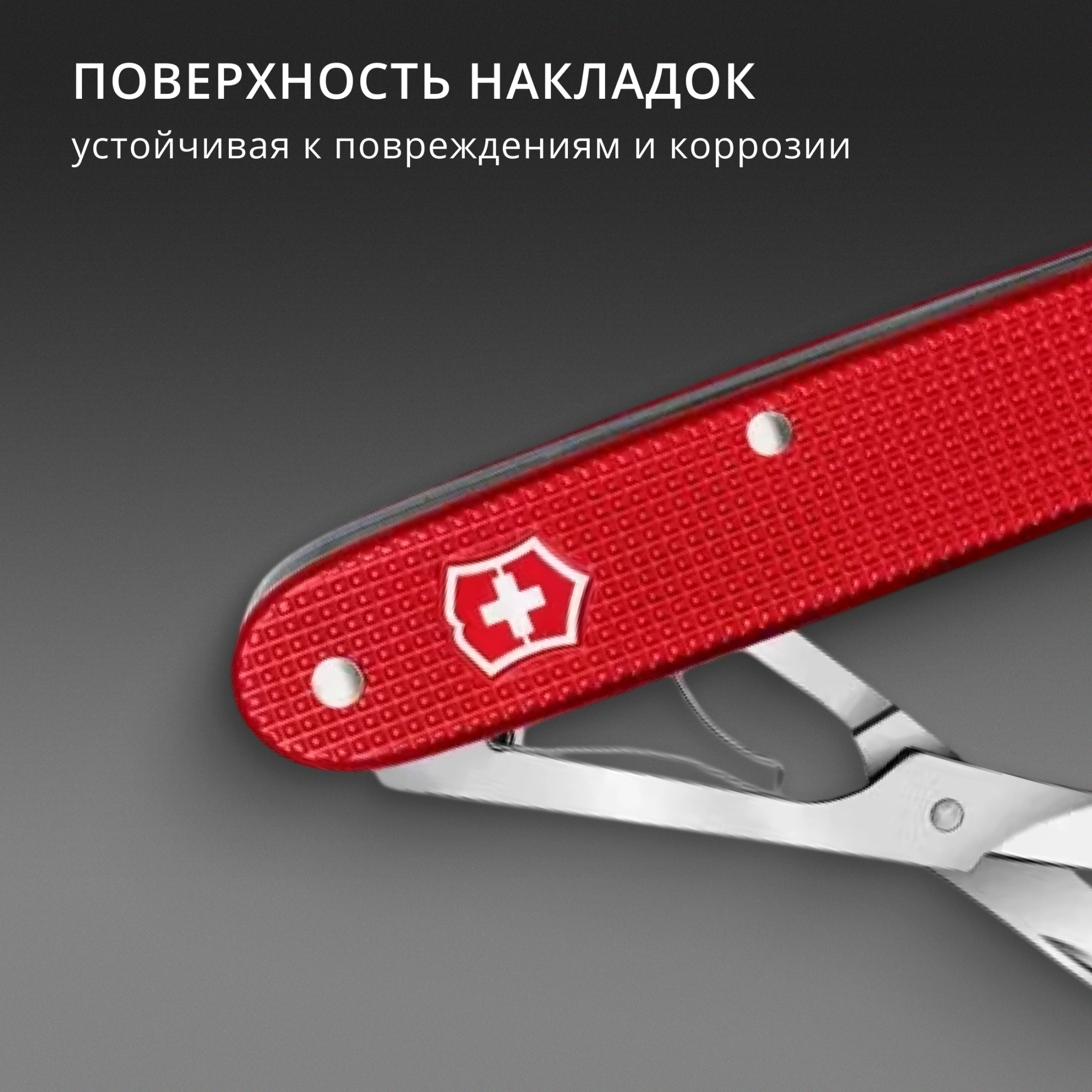 Ножницы Victorinox Companion X Alox (0.8070.20) 93мм 1функц. красный карт.коробка — миниатюра 4