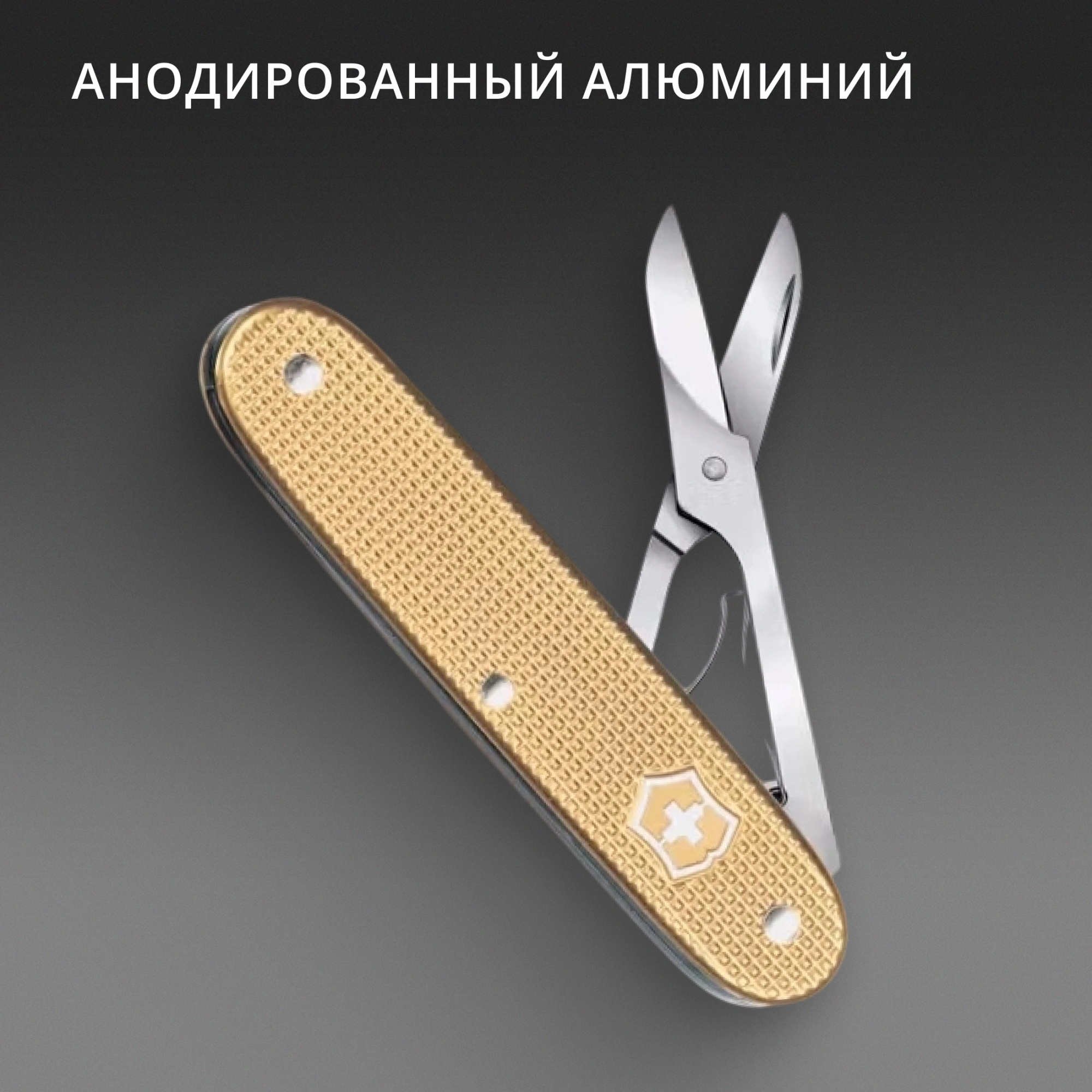 Ножницы Victorinox Companion X Alox (0.8070.28) 93мм 1функц. золотистый карт.коробка — миниатюра 3