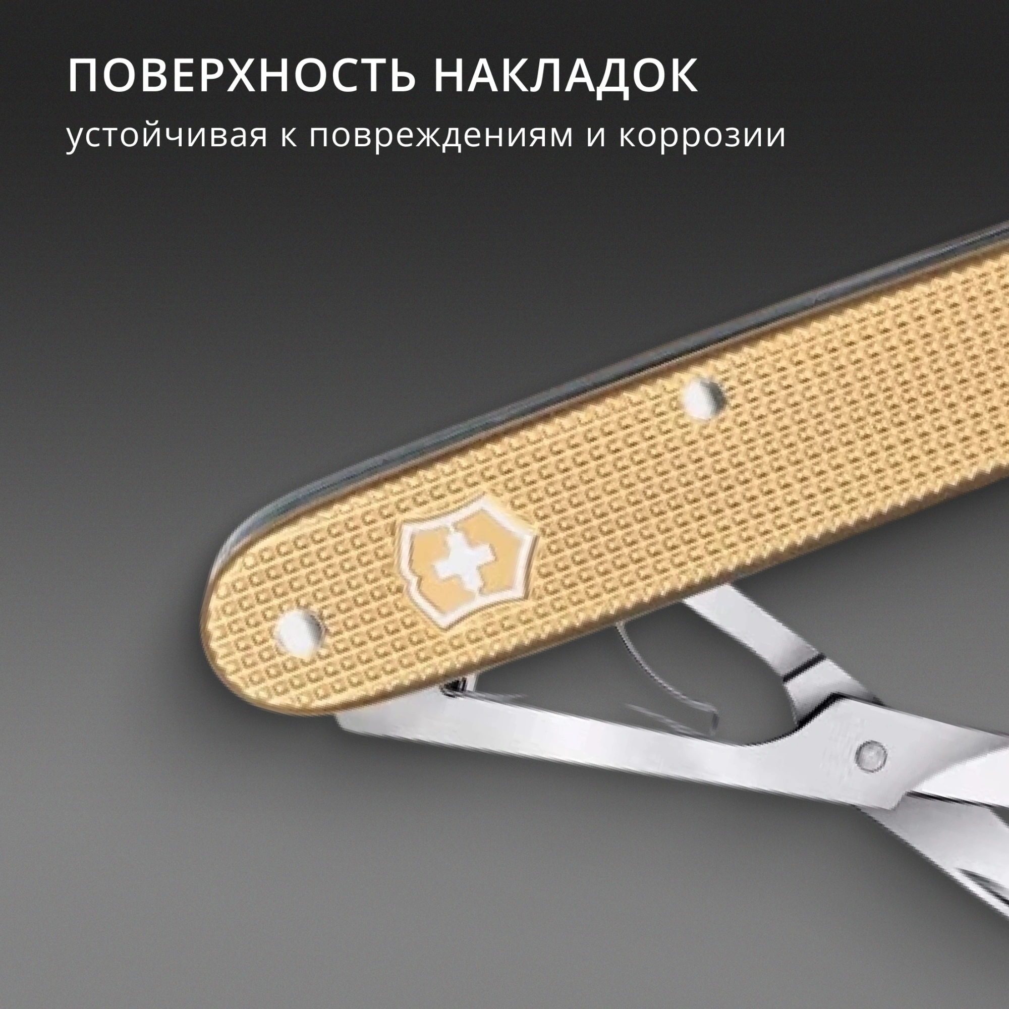 Ножницы Victorinox Companion X Alox (0.8070.28) 93мм 1функц. золотистый карт.коробка — миниатюра 4