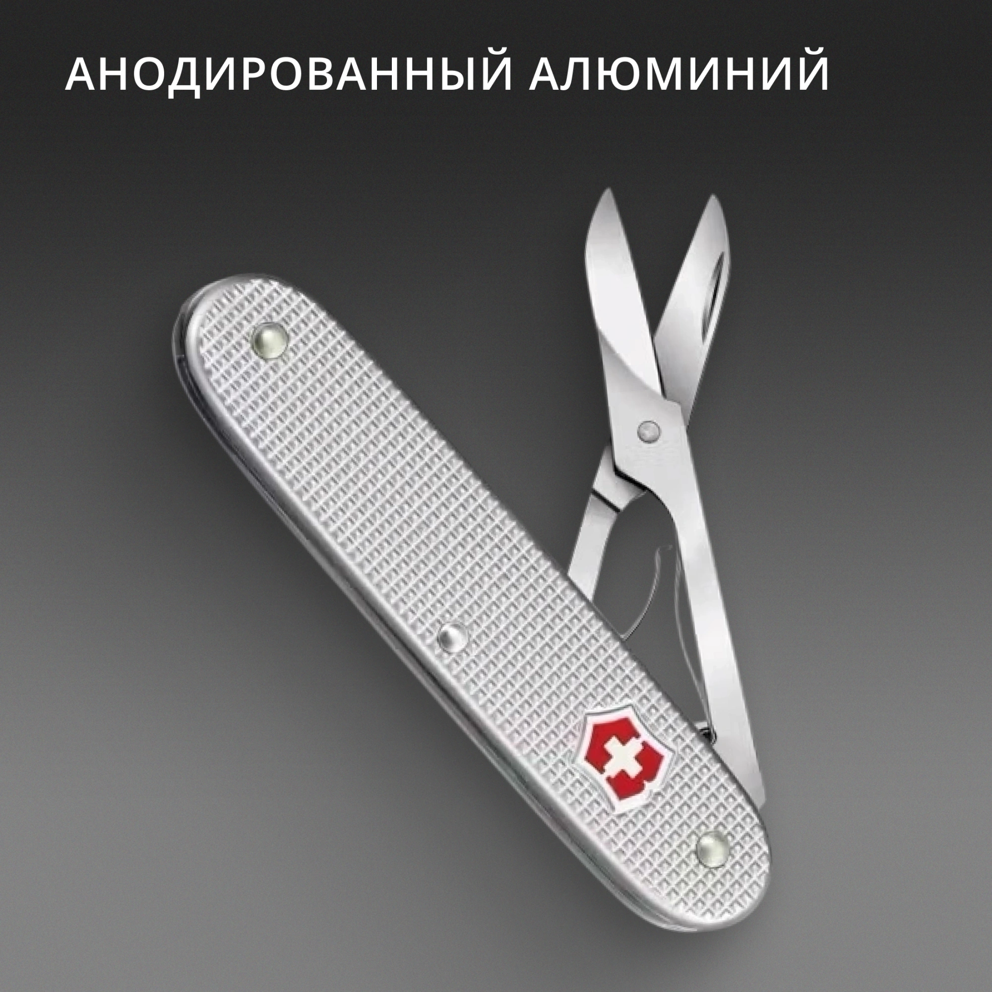 Ножницы Victorinox Companion X Alox (0.8070.26) 93мм 1функц. серебристый карт.коробка — миниатюра 3