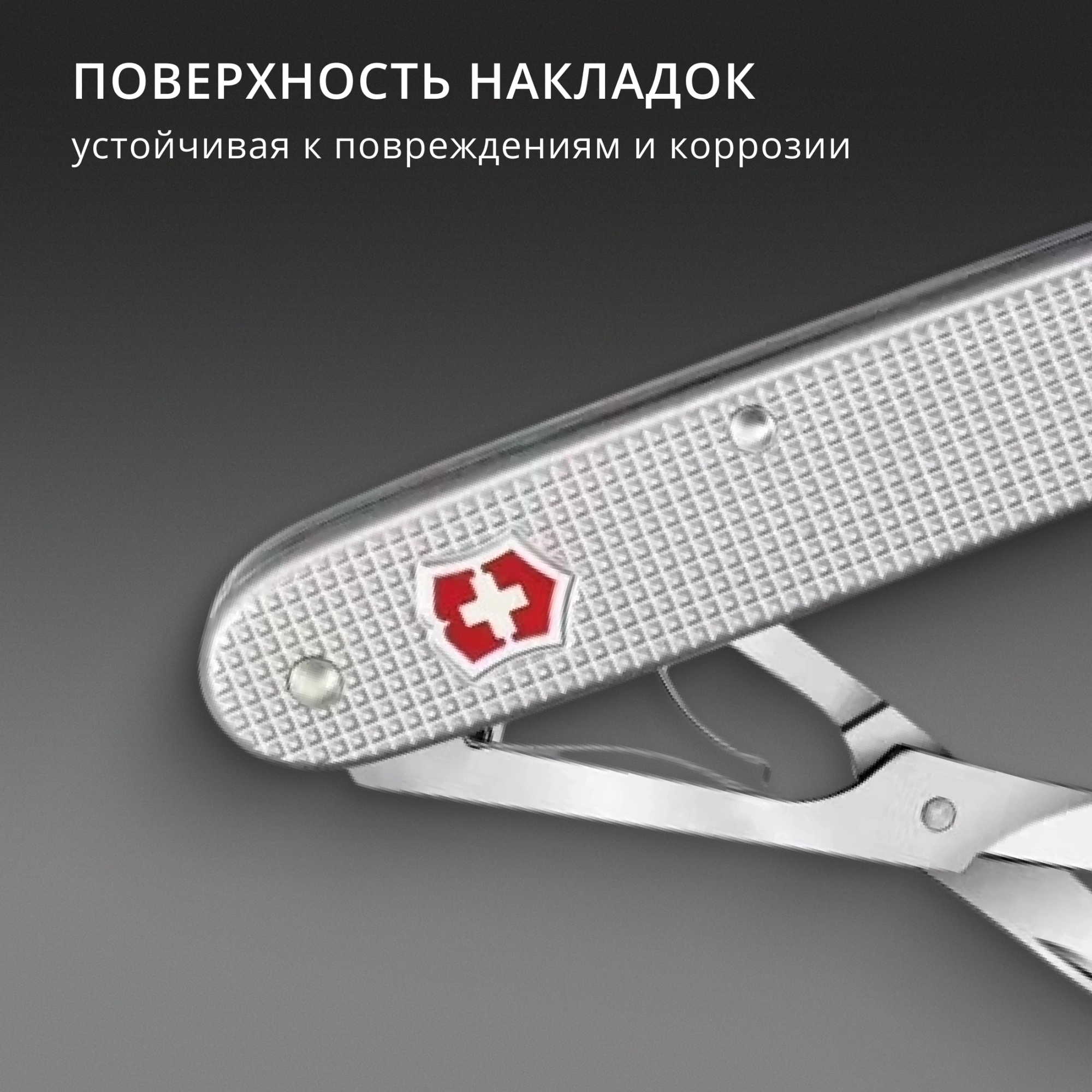 Ножницы Victorinox Companion X Alox (0.8070.26) 93мм 1функц. серебристый карт.коробка — миниатюра 4
