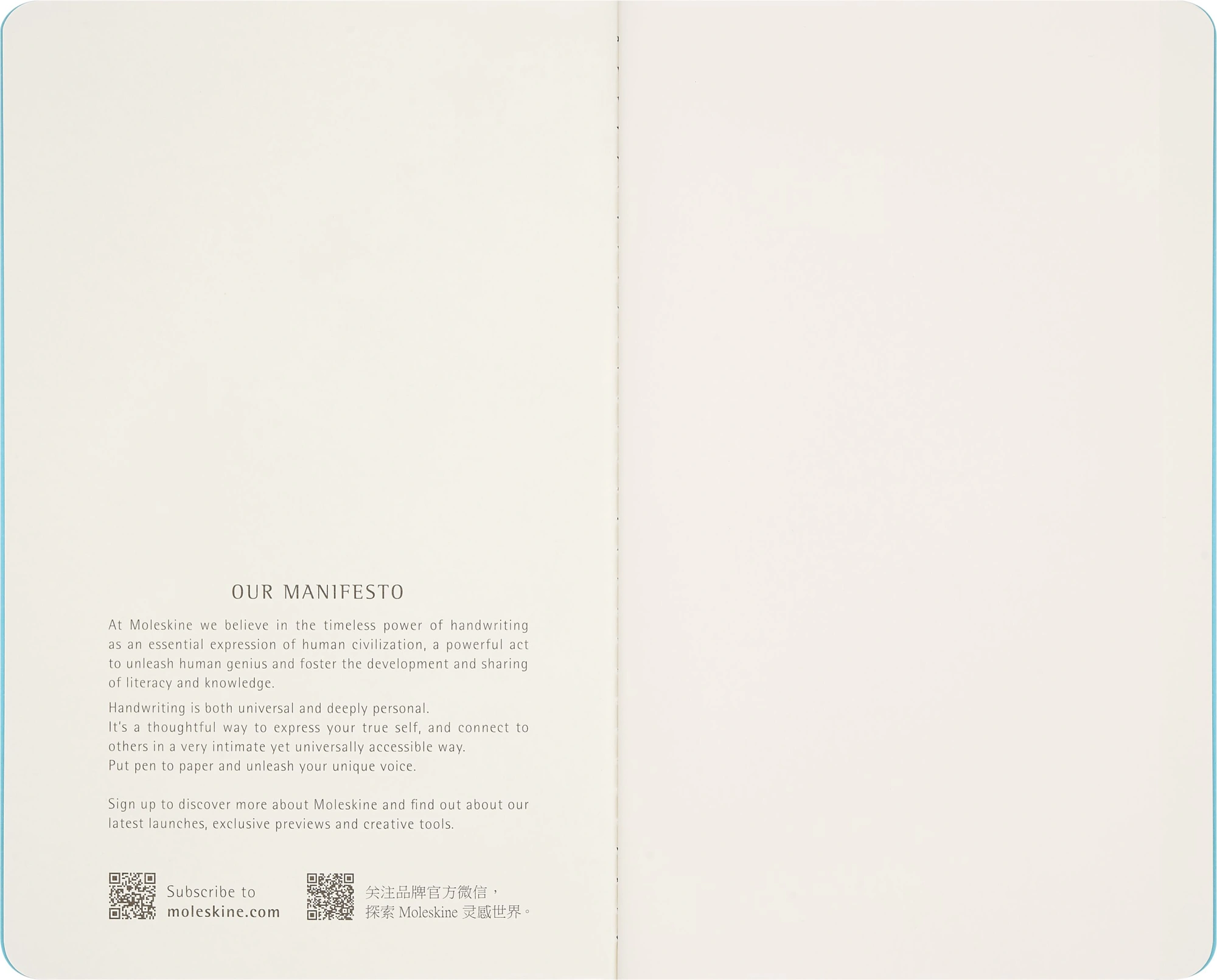 Блокнот Moleskine LIMITED EDITION CAHIER MUSEE D`ORSAY SKCAHL6911S3NL Large 130х210мм обложка картон 120стр. нелинованный синий/коричневый (2шт) — миниатюра 6