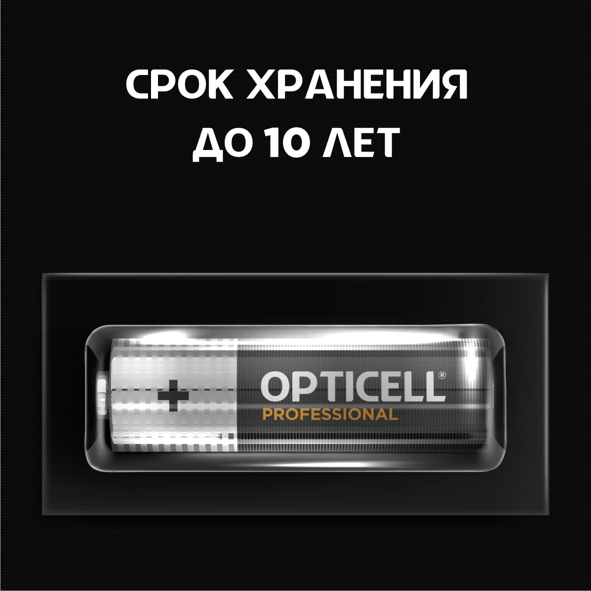Батарея Opticell Professional LR6 AA (12шт) блистер — миниатюра 2