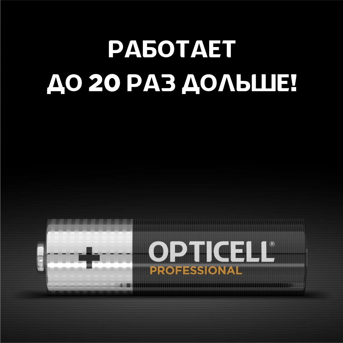 Батарея Opticell Professional LR6 AA (12шт) блистер — миниатюра 5