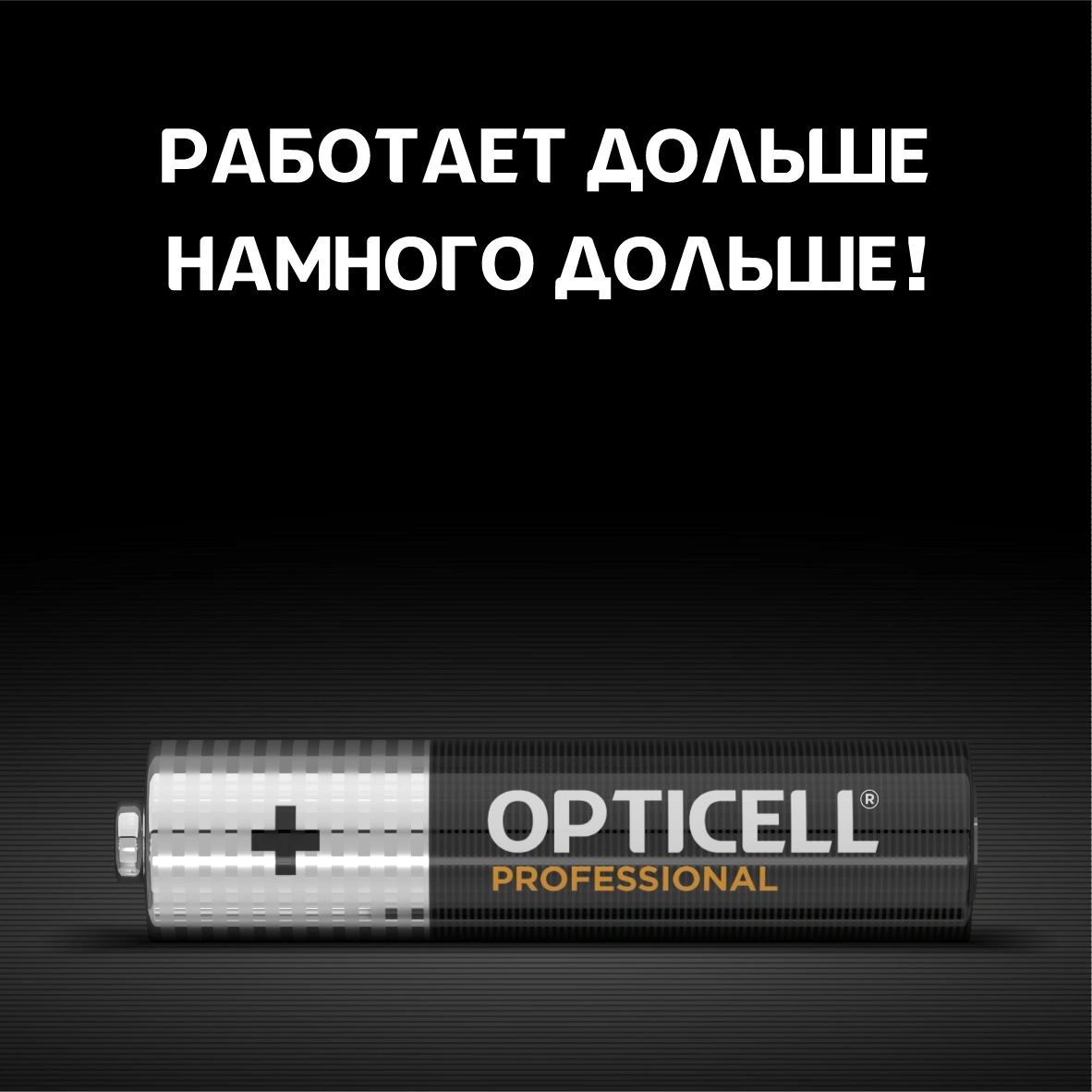 Батарея Opticell Professional LR03 AAA (4шт) блистер — миниатюра 5