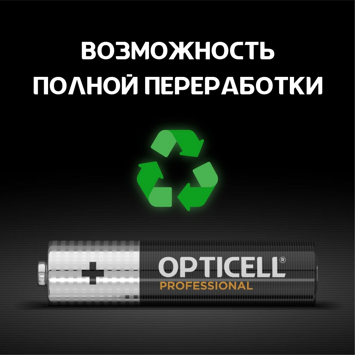 Батарея Opticell Professional LR03 AAA (4шт) блистер — миниатюра 6