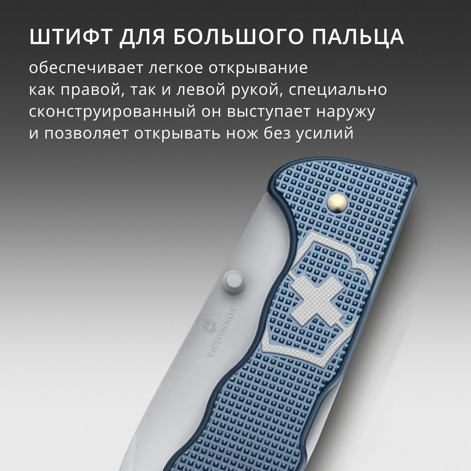 Нож перочинный Victorinox Evoke Alox LE26 (0.9415.L26) 136мм 5функц. синий подар.коробка — миниатюра 11