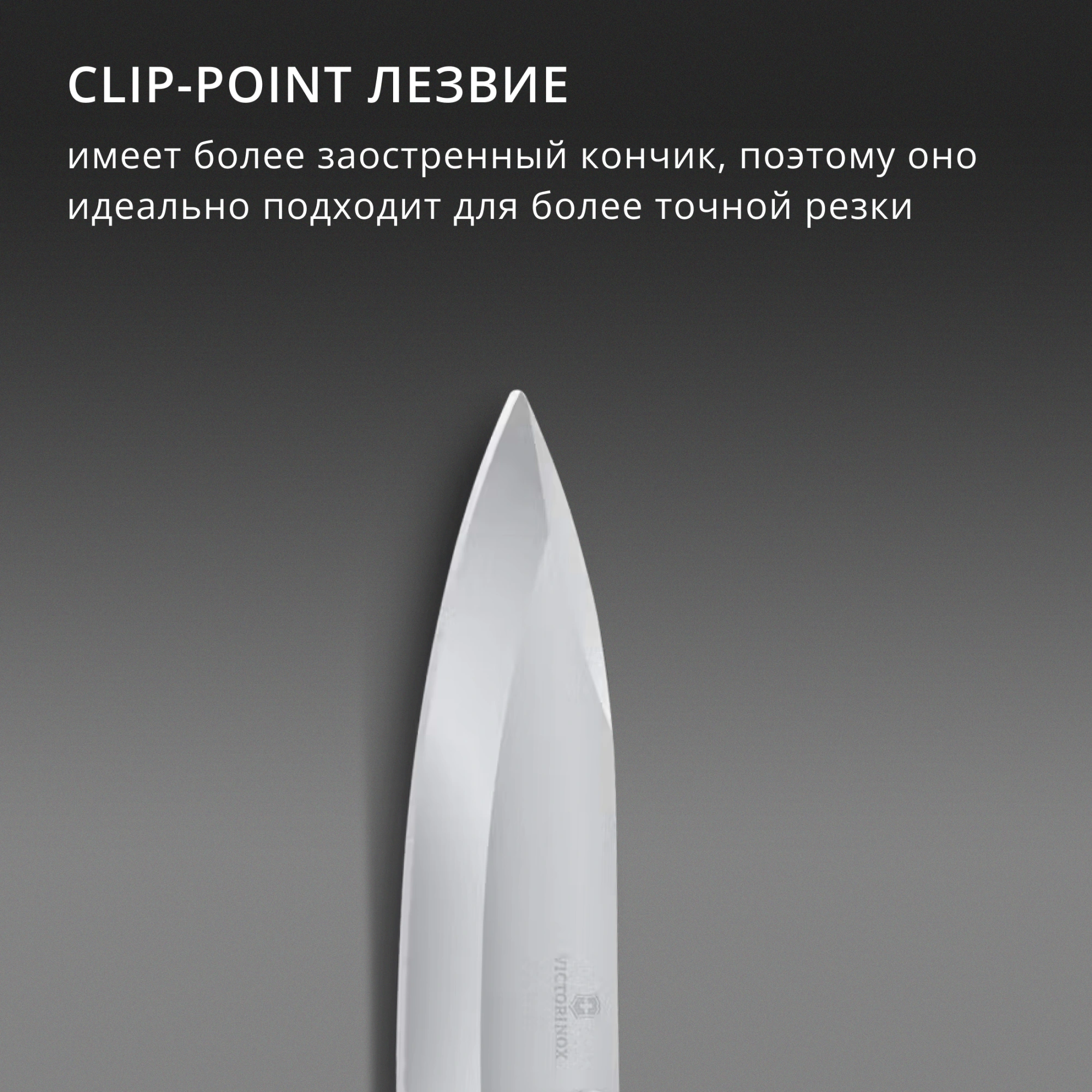 Нож перочинный Victorinox Evoke Alox LE26 (0.9415.L26) 136мм 5функц. синий подар.коробка — миниатюра 13