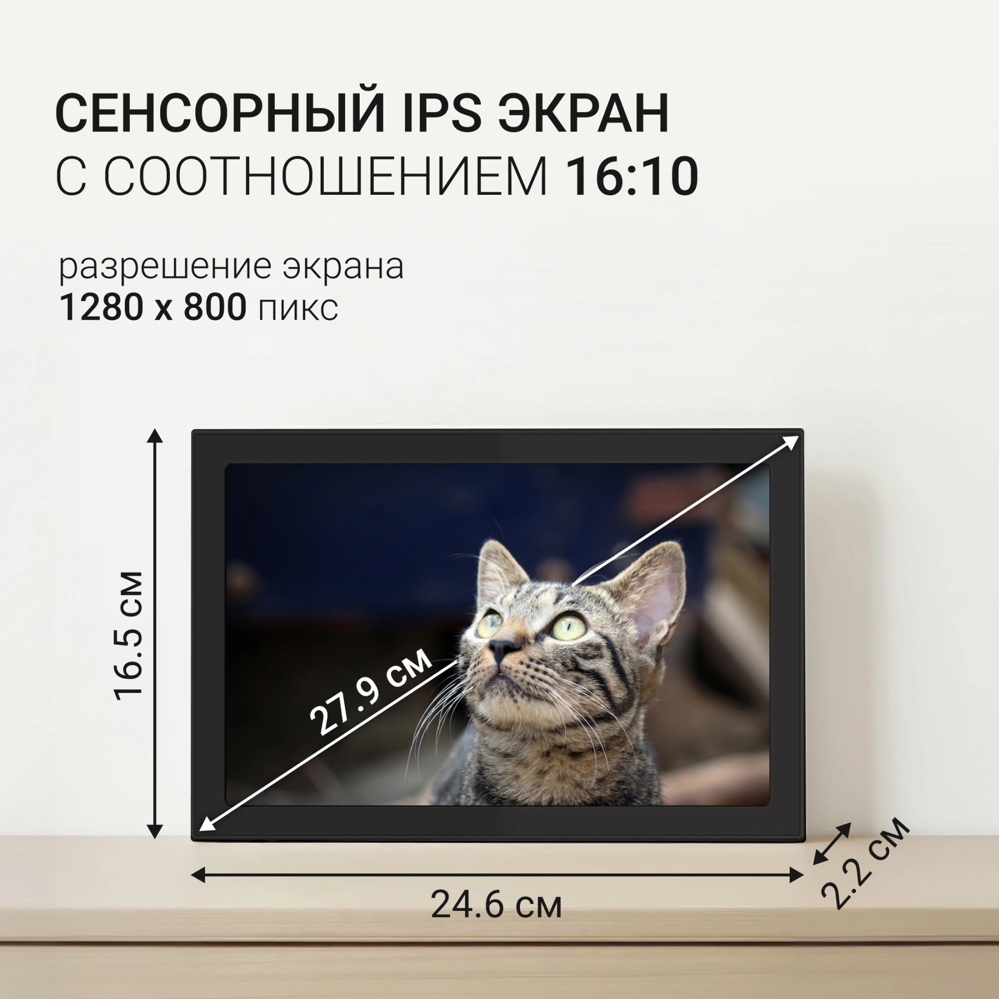 Фоторамка Digma 10.1" PF-1085 1280x800 черный пластик 16Gb Видео WiFi — миниатюра 9