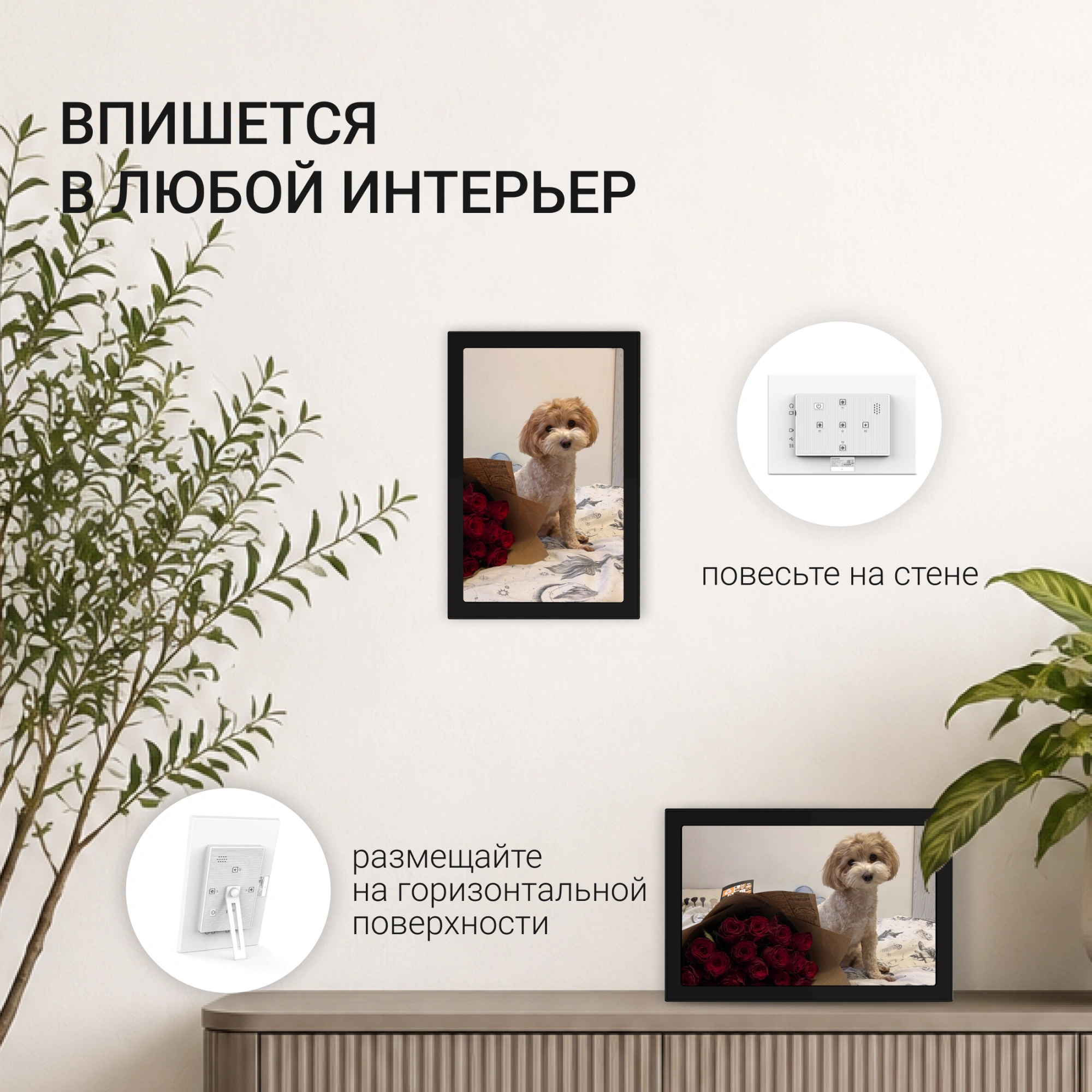 Фоторамка Digma 11" PF-1155 1280x800 черный пластик 16Gb Видео WiFi — миниатюра 6