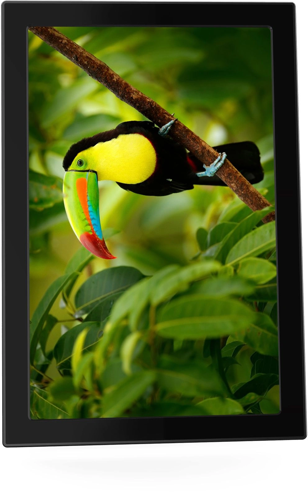 Фоторамка Digma 11" PF-1155 1280x800 черный пластик 16Gb Видео WiFi — миниатюра 19