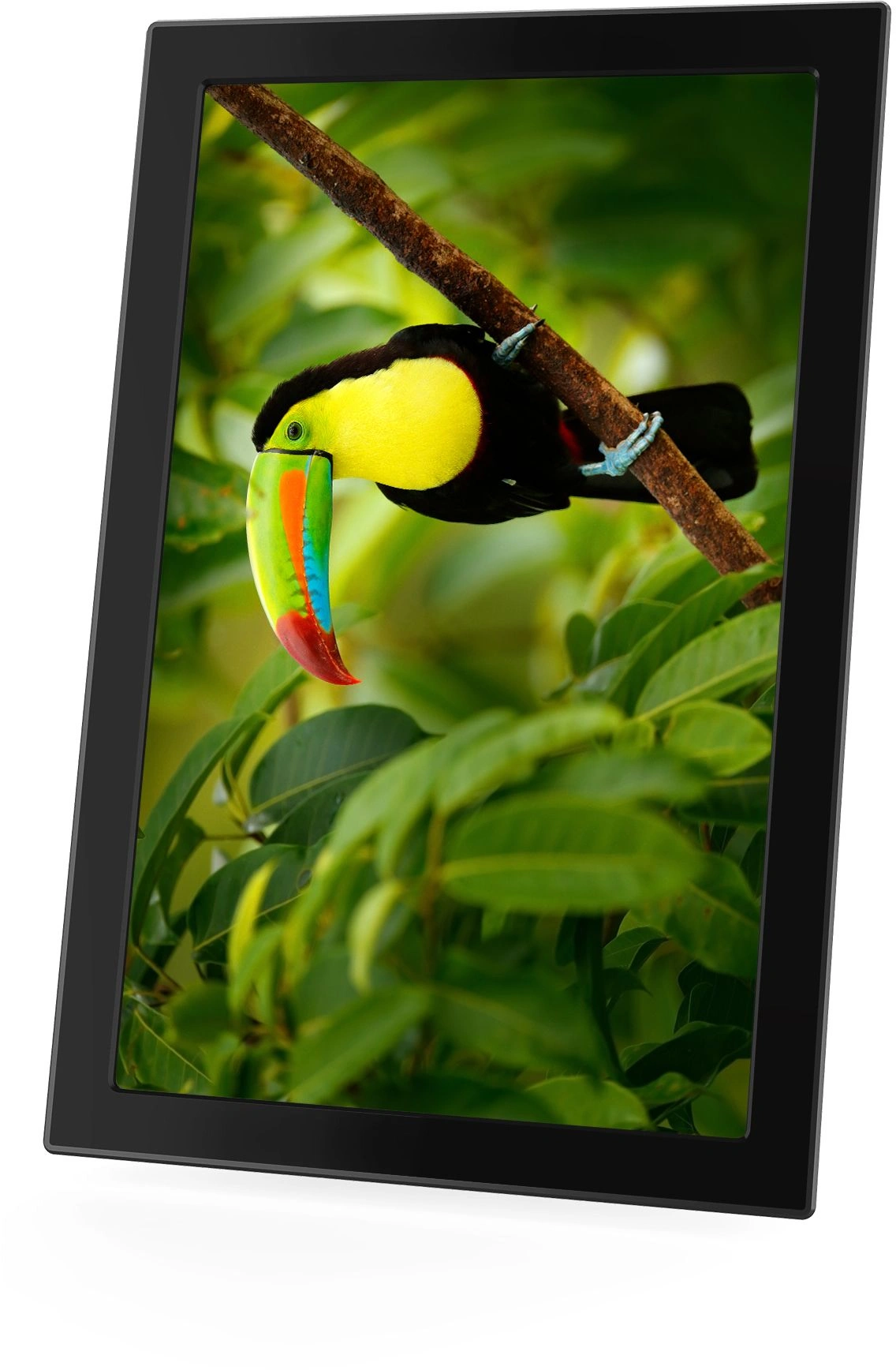 Фоторамка Digma 11" PF-1155 1280x800 черный пластик 16Gb Видео WiFi — миниатюра 20