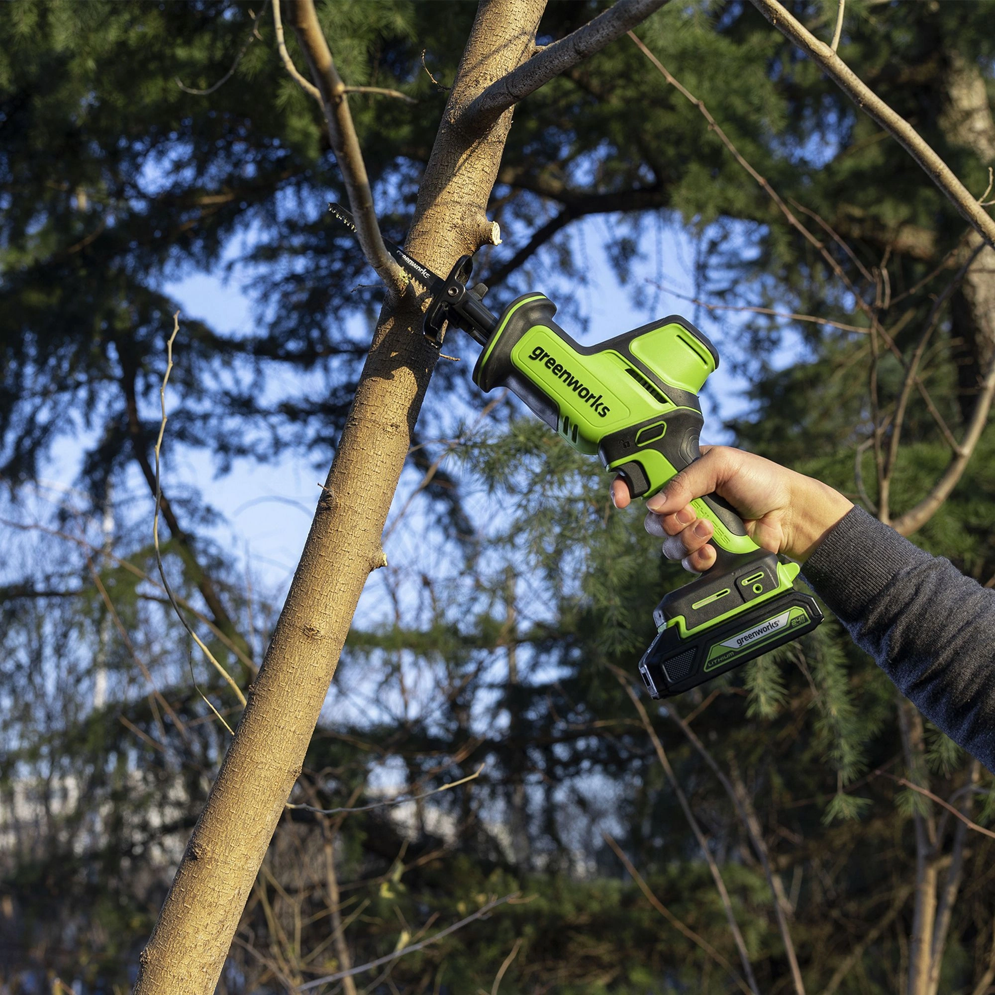 Сабельная пила Greenworks GPT-CRS-25 аккум. (1200507CUA) — миниатюра 19