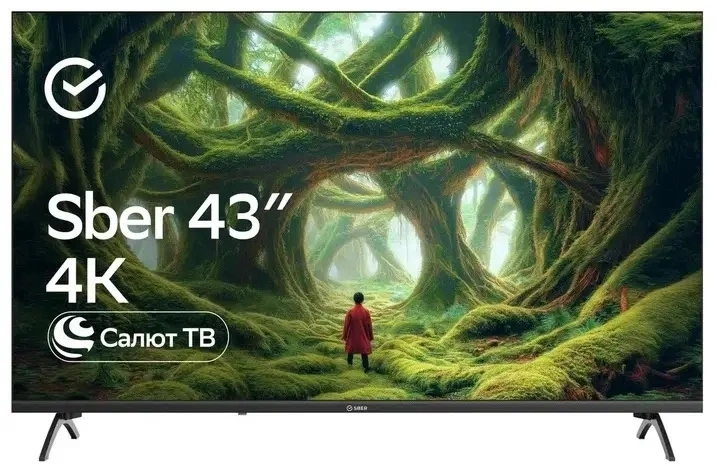 Телевизор LED Sber 43" SDX-43U5500DBA Салют ТВ Frameless черный 4K Ultra HD 60Hz DVB-T DVB-T2 DVB-C DVB-S DVB-S2 USB WiFi Smart TV (RUS) — миниатюра 6