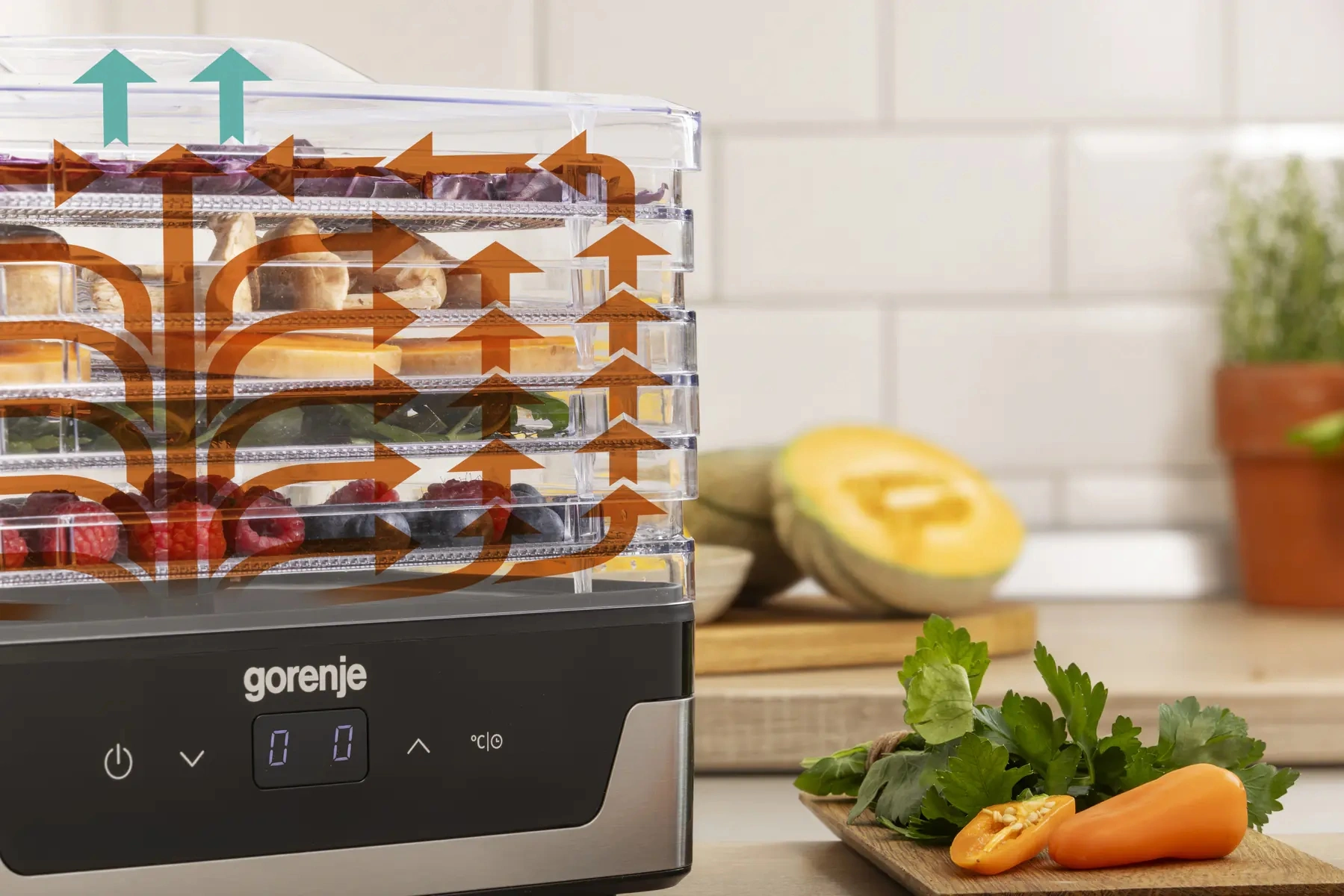 Сушка для фруктов и овощей Gorenje FDK400DE 5под. 240Вт нержавеющая сталь — миниатюра 5
