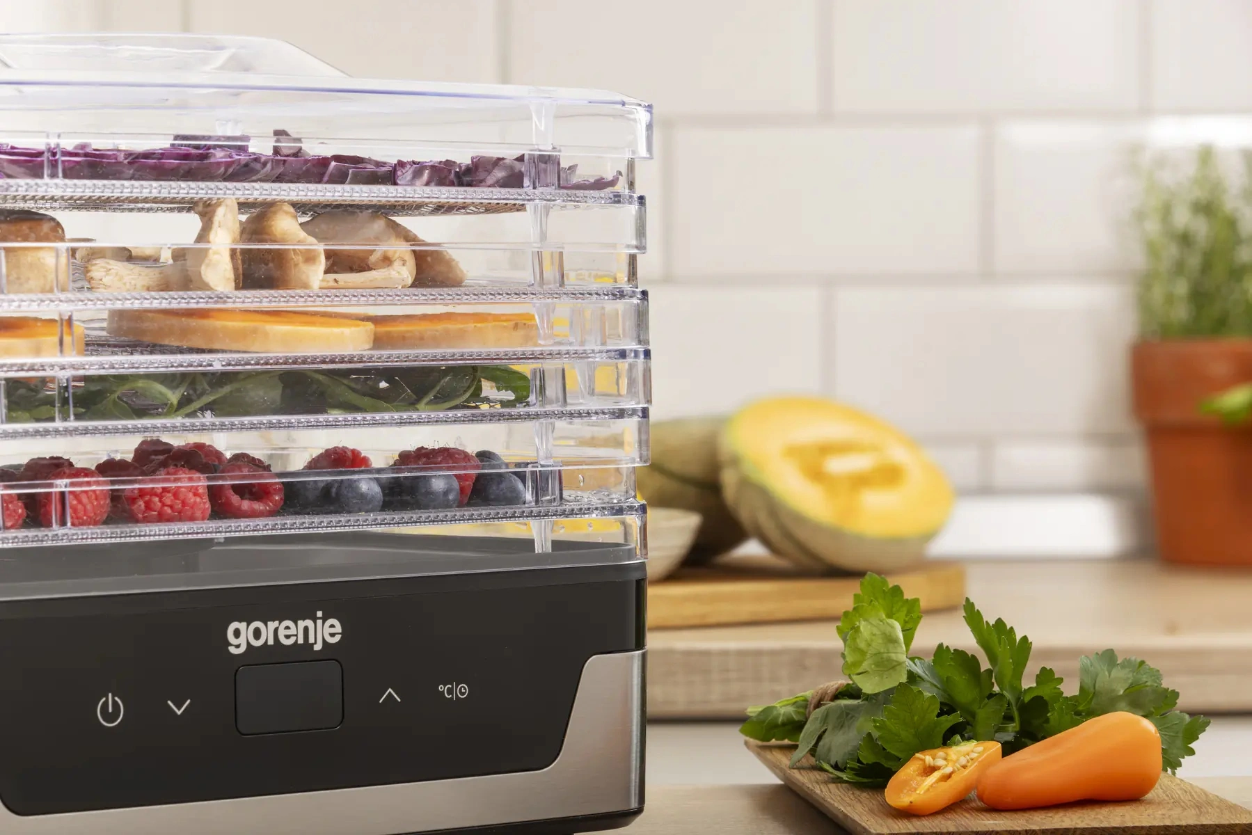 Сушка для фруктов и овощей Gorenje FDK400DE 5под. 240Вт нержавеющая сталь — миниатюра 11