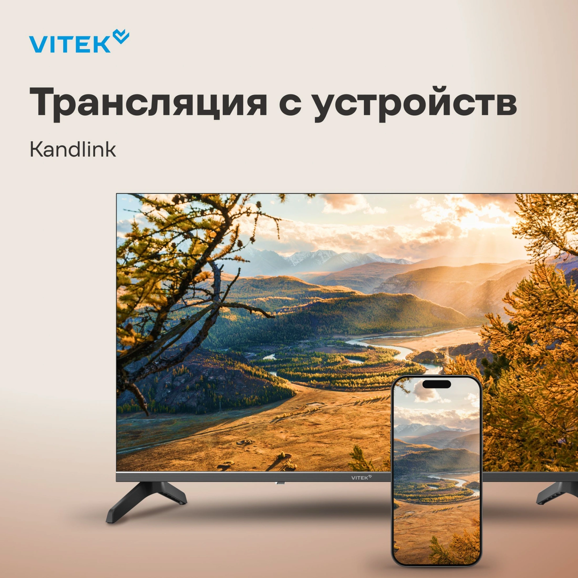 Телевизор LED Vitek 40" VT-40FBS300 Яндекс.ТВ Frameless черный FULL HD 60Hz DVB-T DVB-T2 DVB-C DVB-S DVB-S2 USB WiFi Smart TV — миниатюра 9